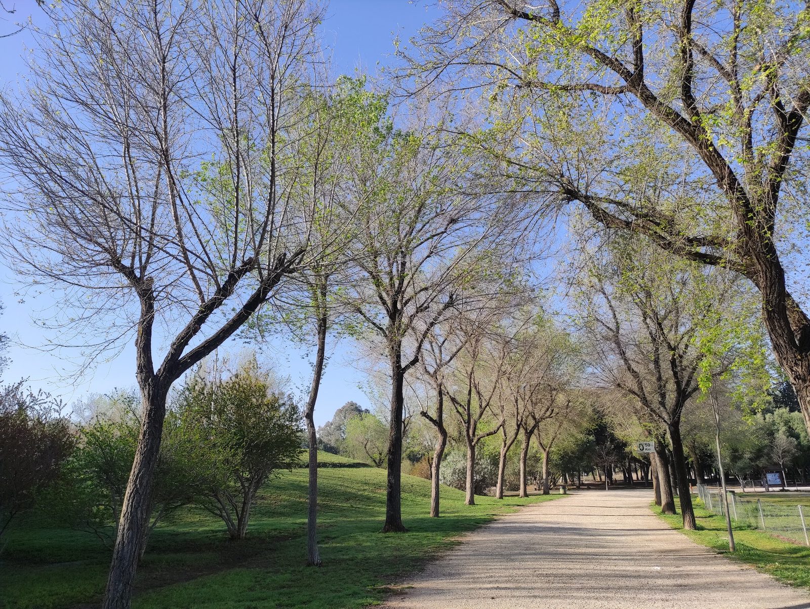 Parque Infanta Elena