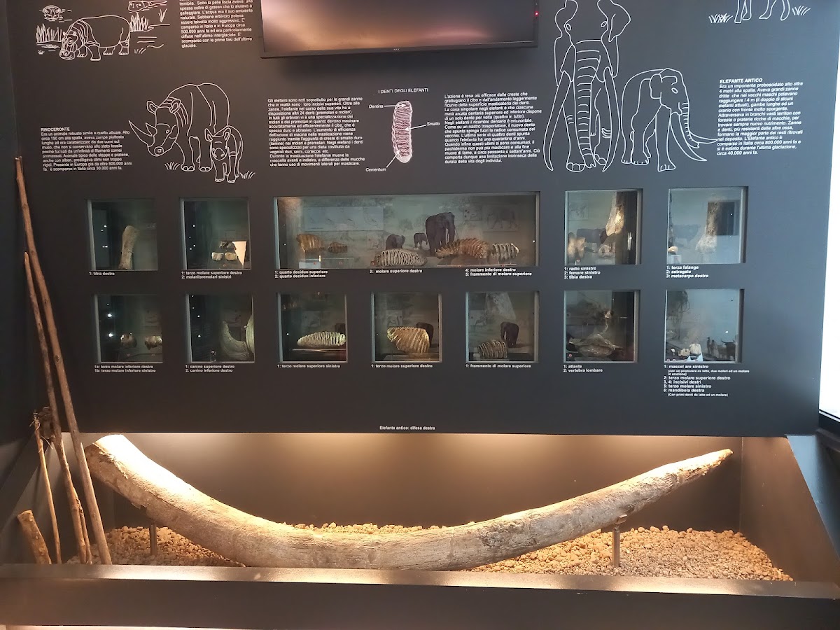 Museum of Casal de 'Pazzi