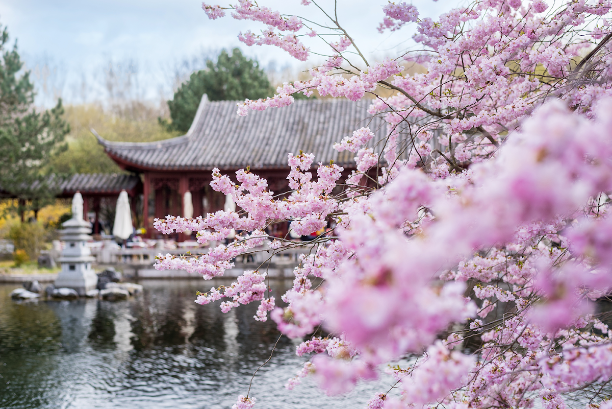 Gardens of the World