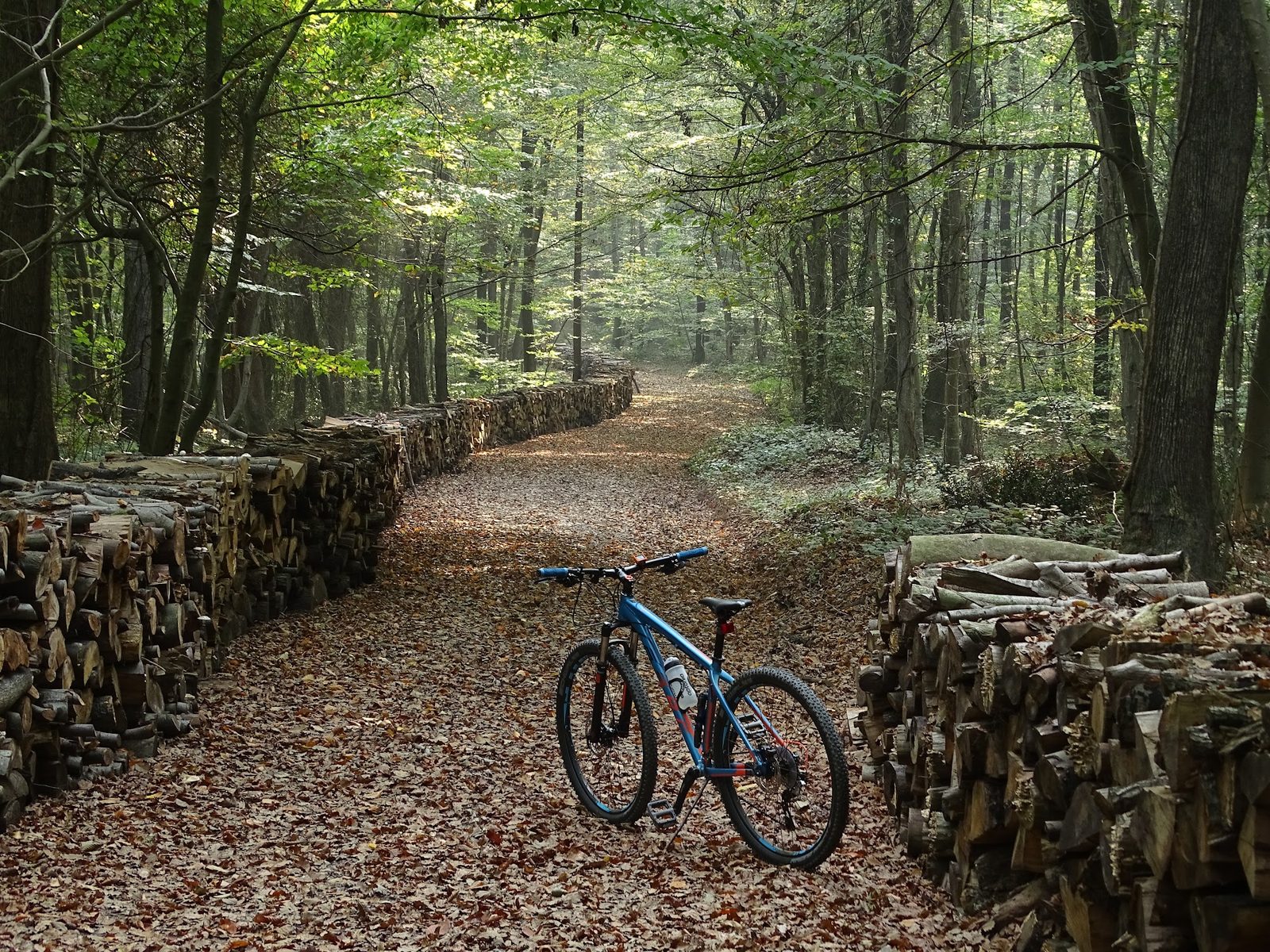 Belgrad Forest Hiking