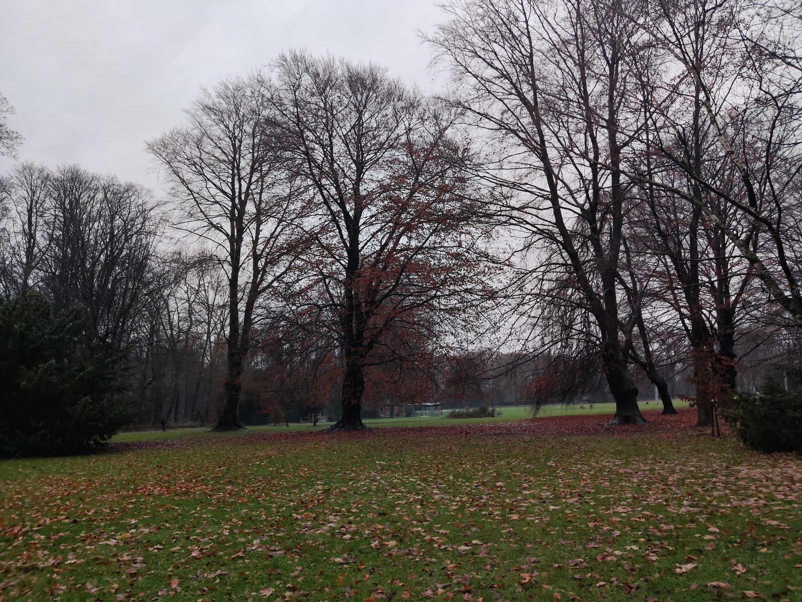 Josaphat Park