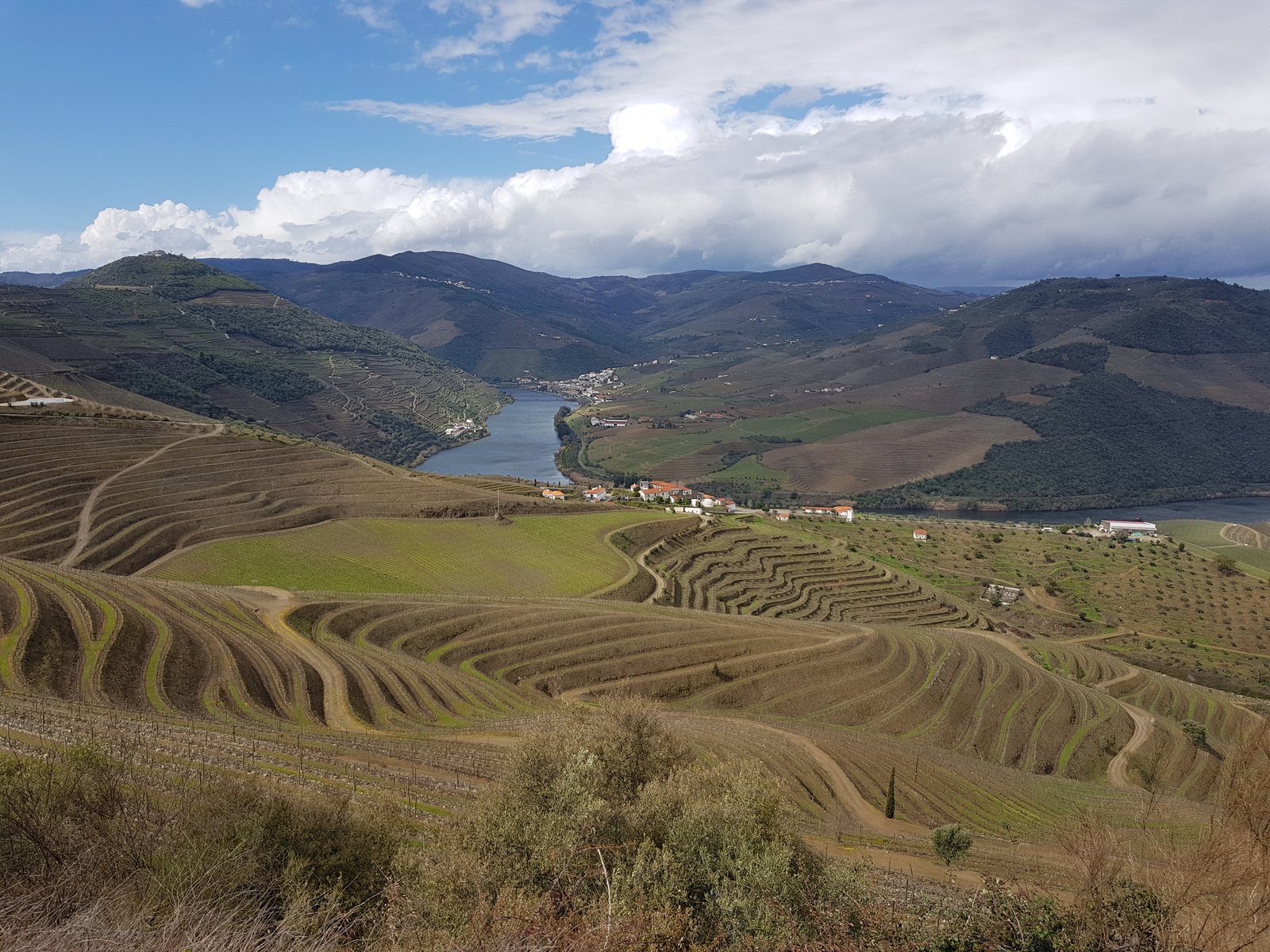 Douro Valley Wine Tour with 3 Wineries & Lunch