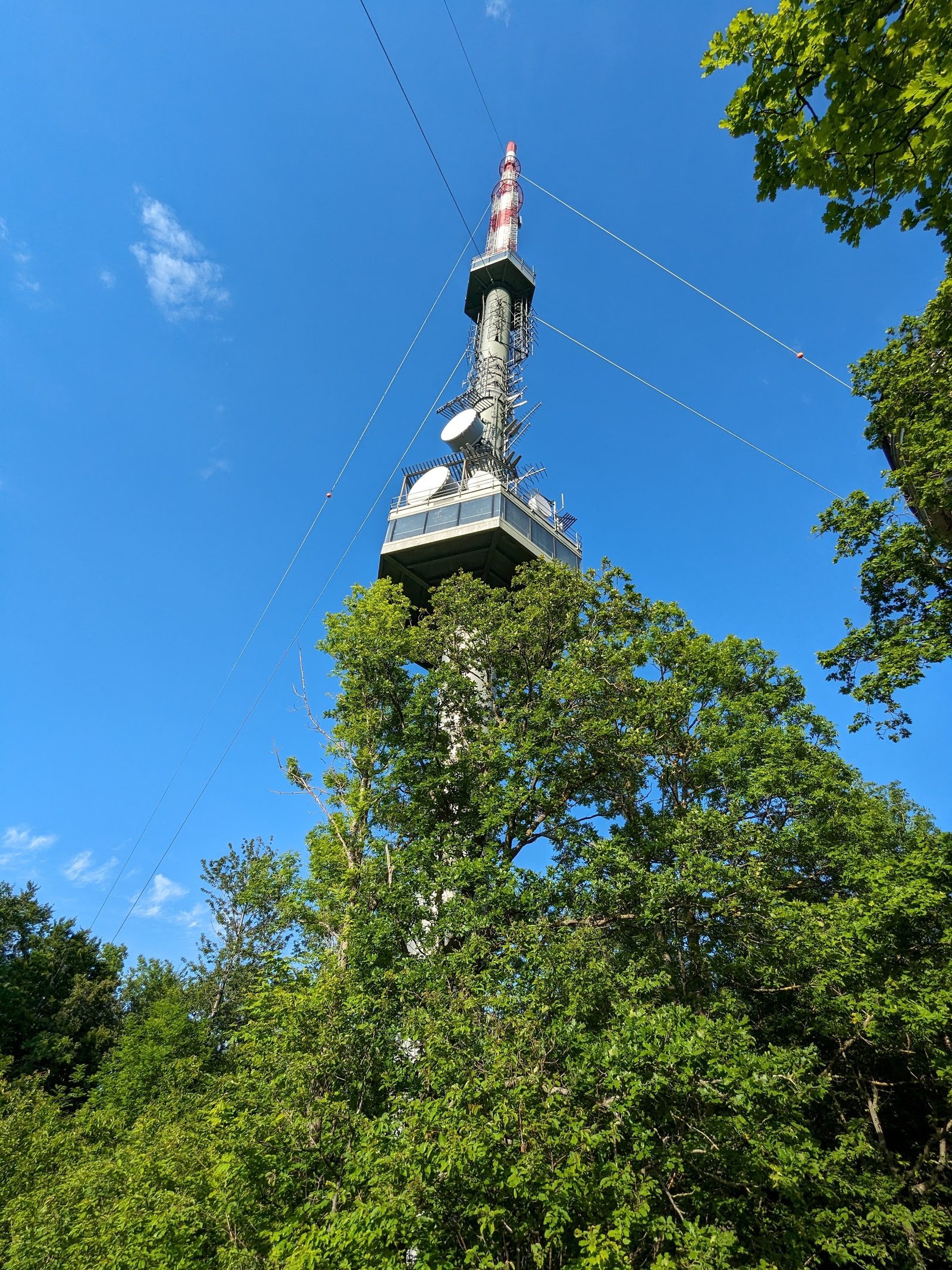 Kahlenberg
