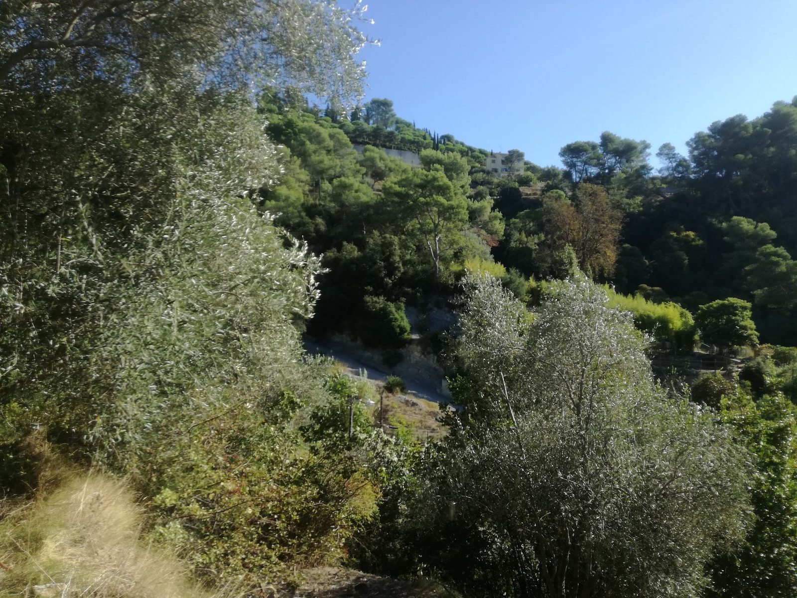 Parc des Tripodes