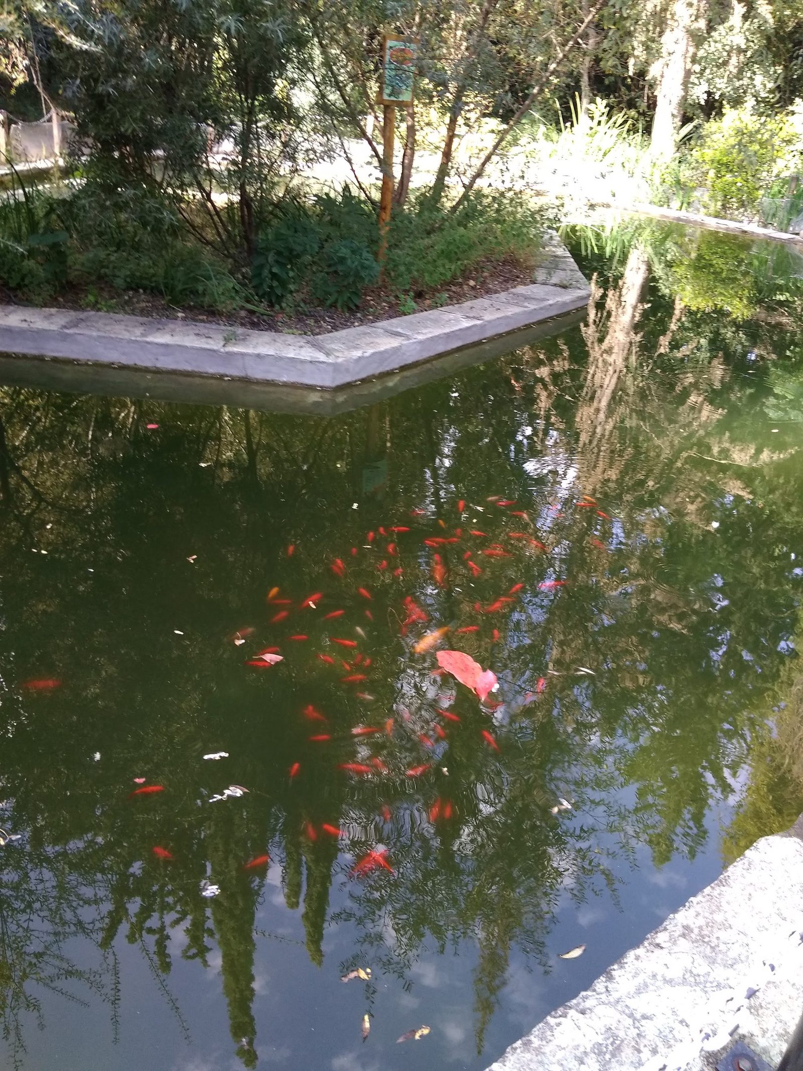 Diomidous Botanical Garden