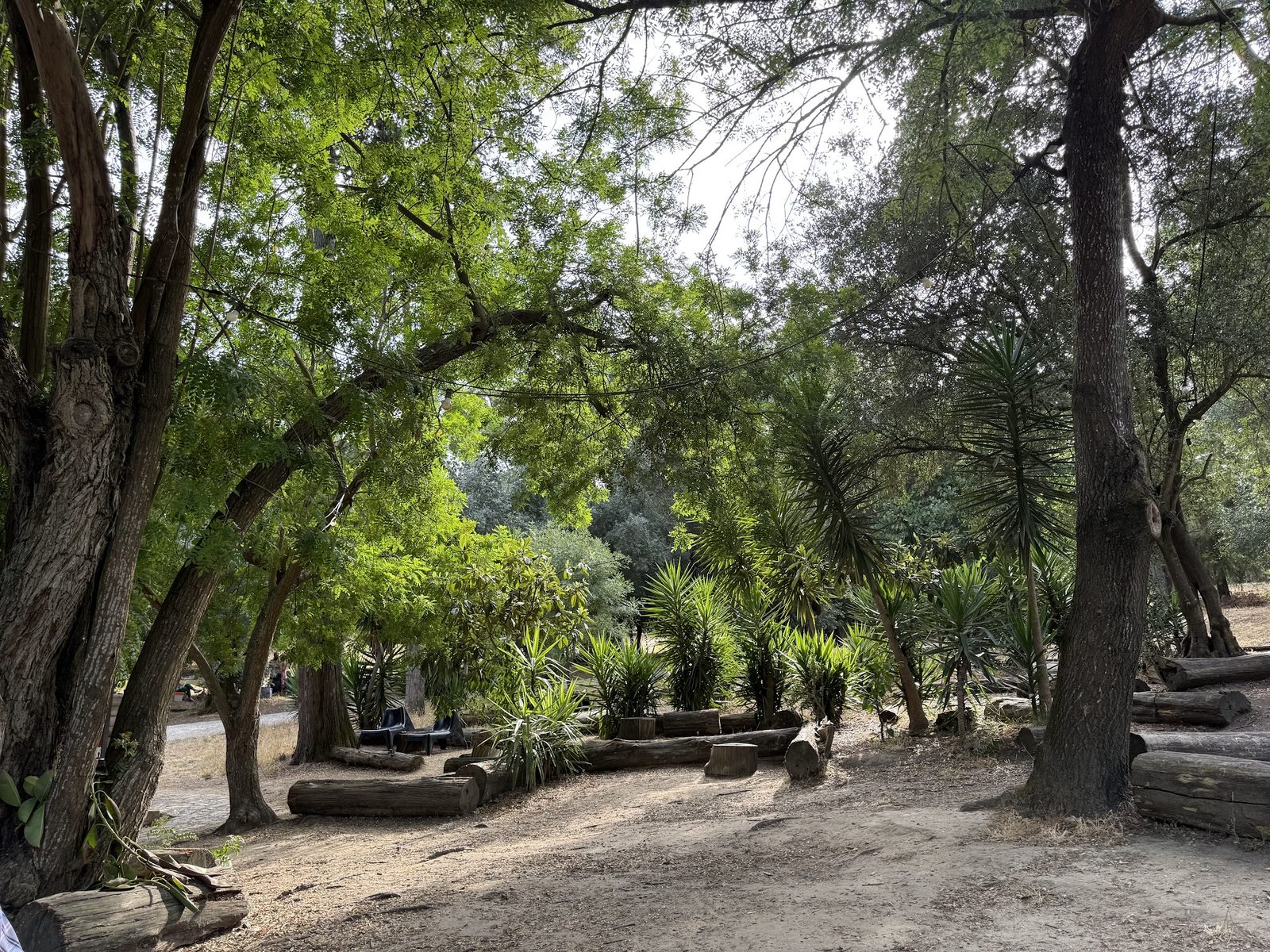 Park José Gomes Ferreira