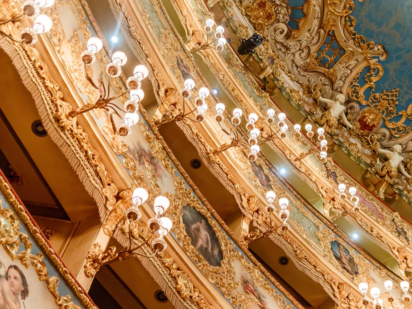 The Majestic Teatro La Fenice: Guided Tour in Venice