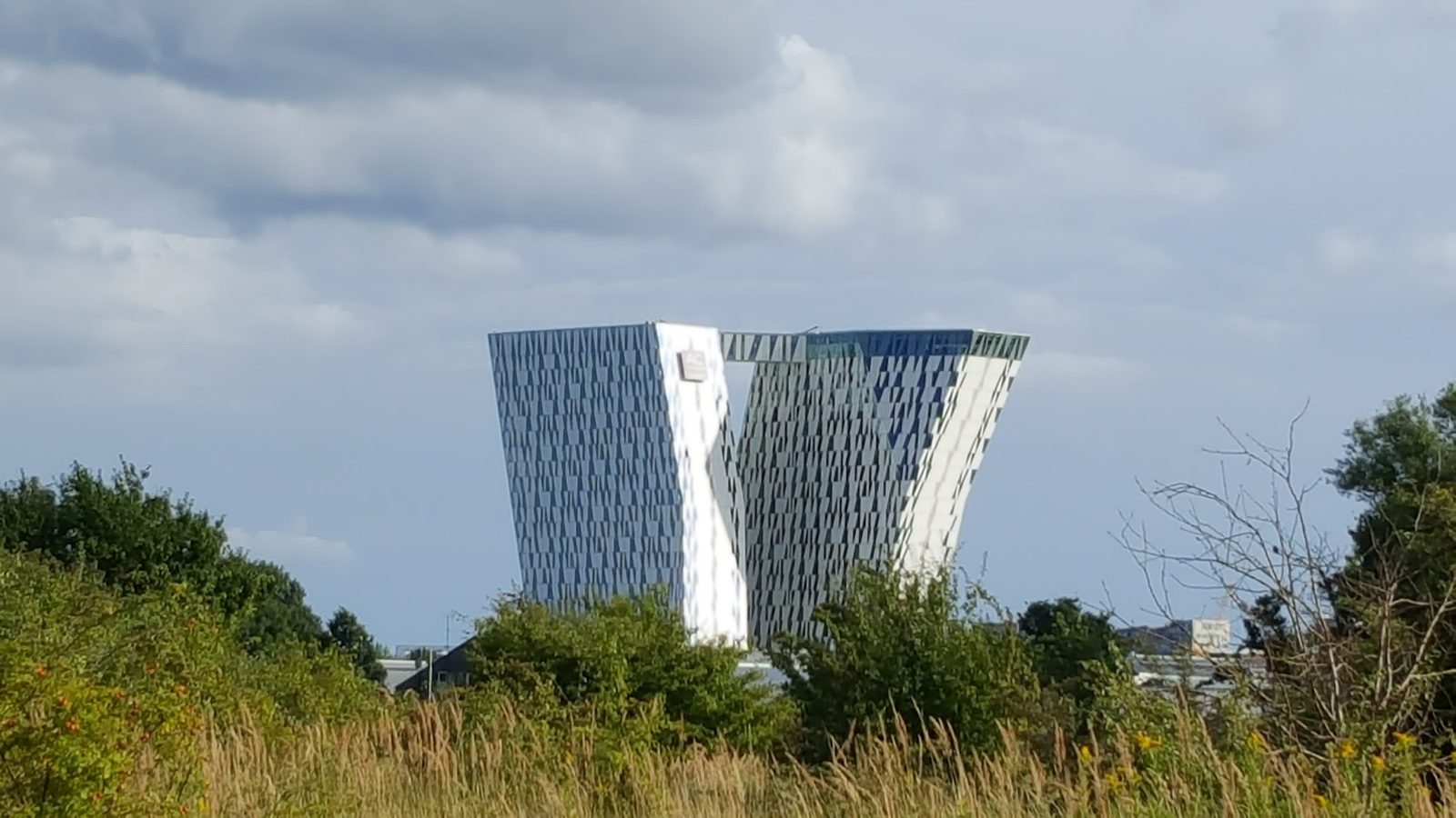Amager Fælled
