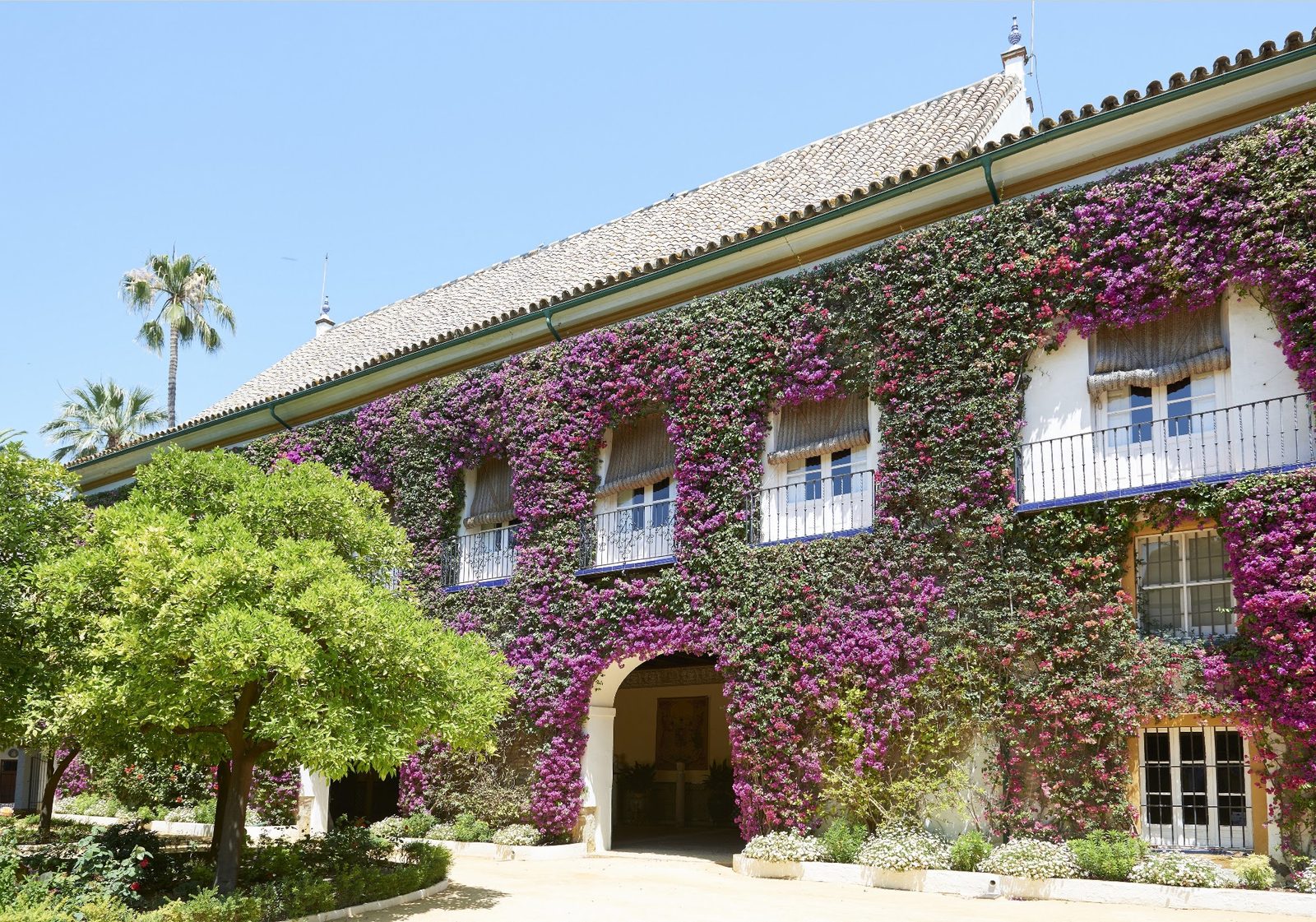 Palacio de las Dueñas