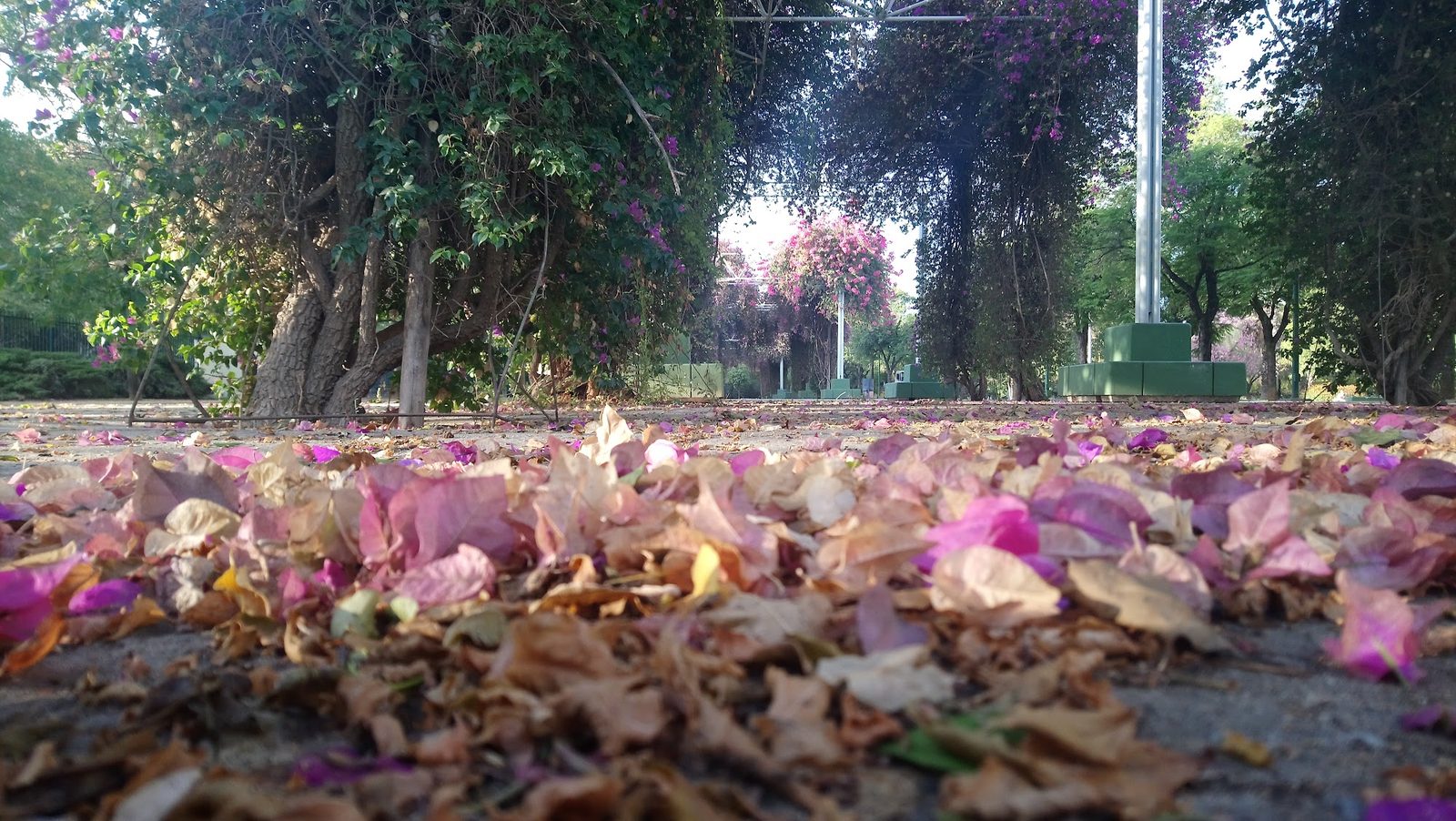 Parque José Celestino Mutis
