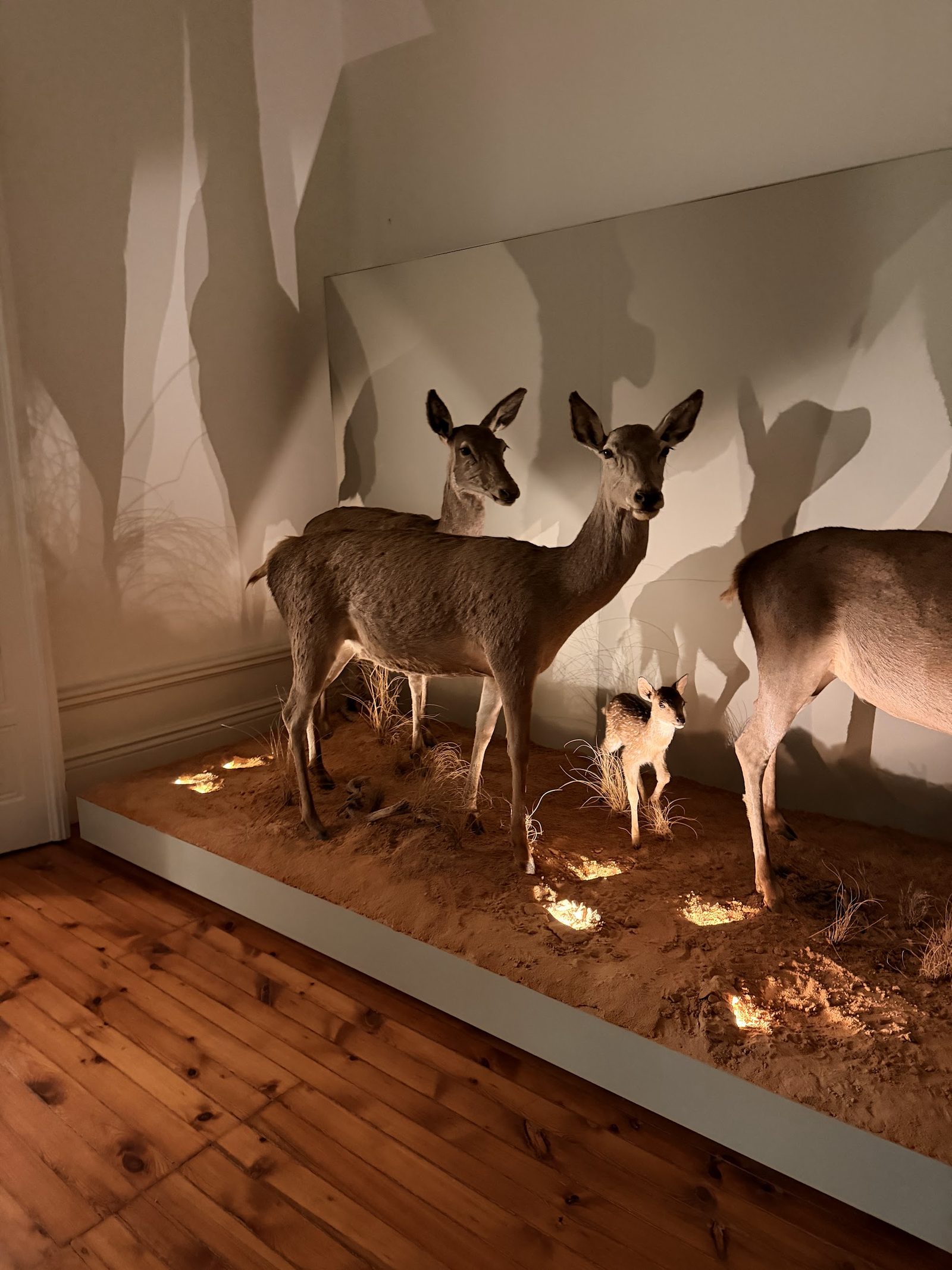 Galeria da Biodiversidade