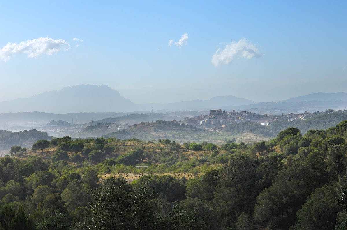 Parc Natural de la Serra de Collserola