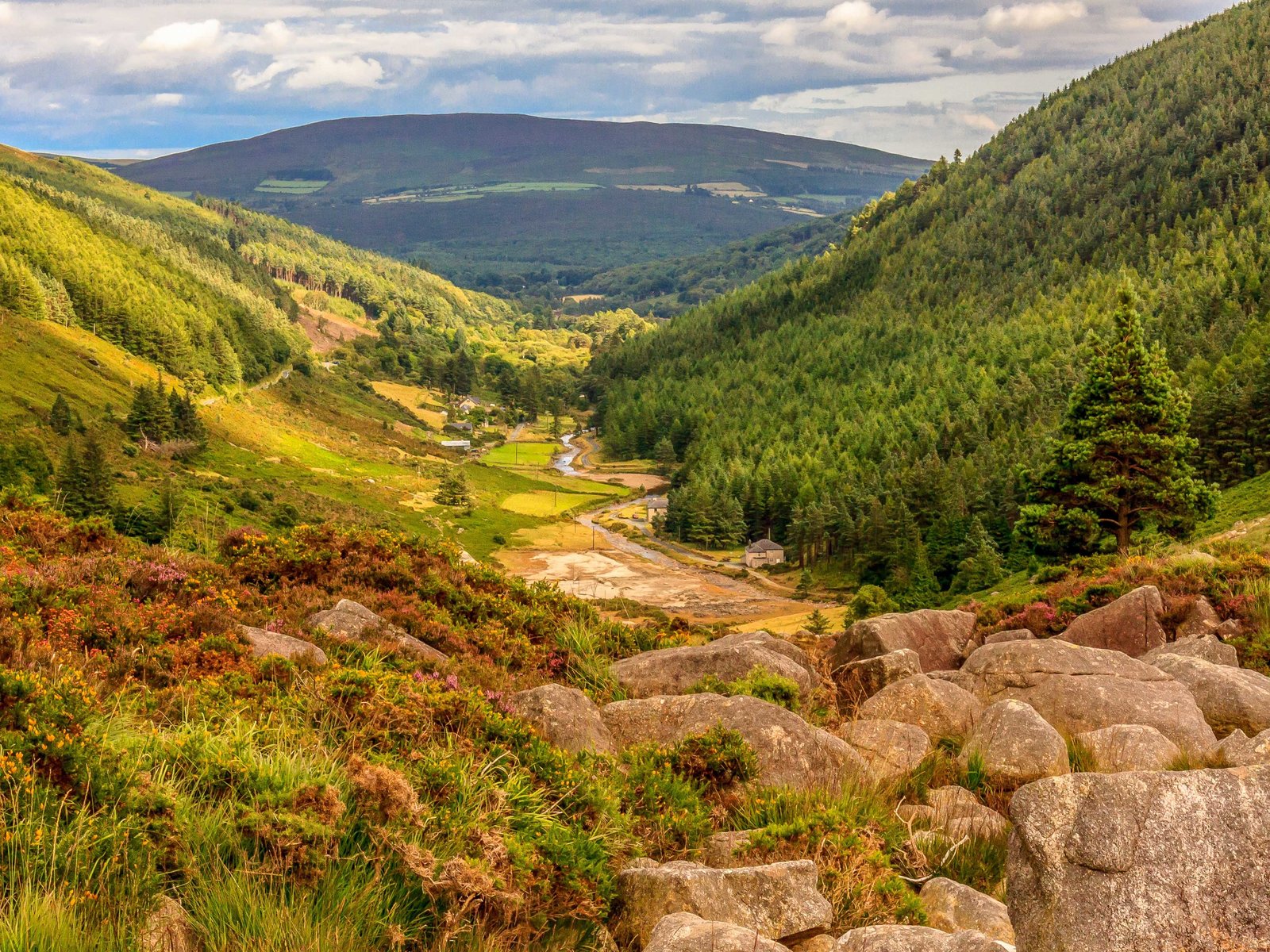 Wild Wicklow Mountains and Glendalough Tour