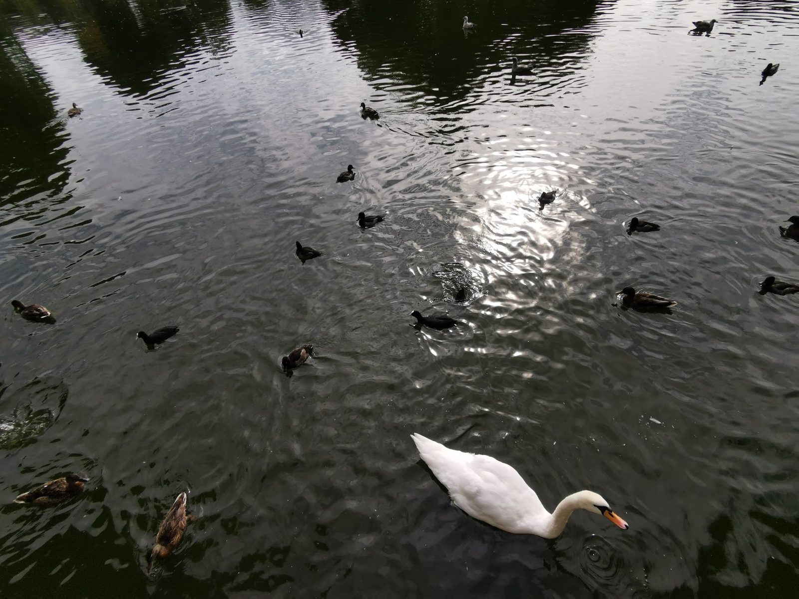 Blessington Street Basin