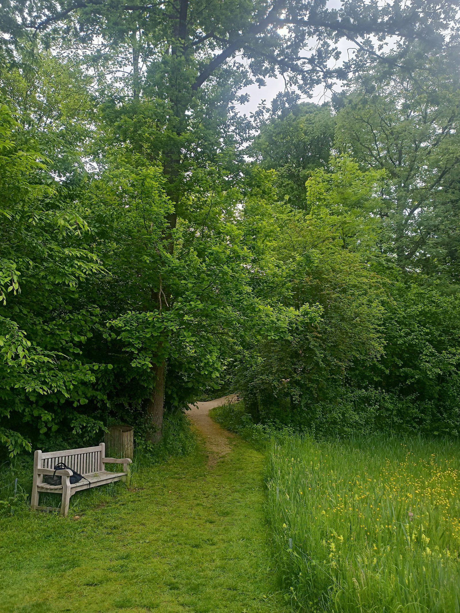 Jean Massart Botanical Garden
