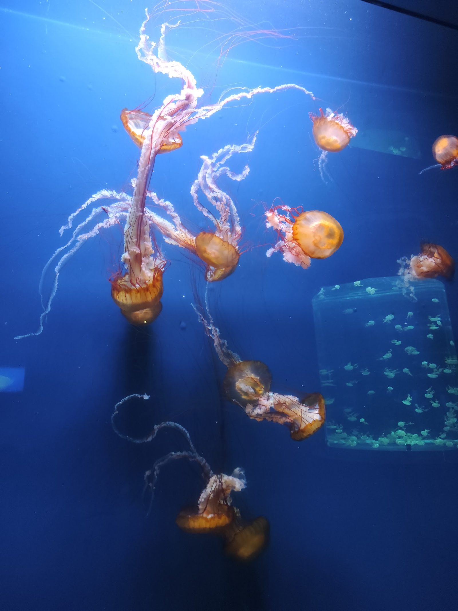 Sevilla Aquarium