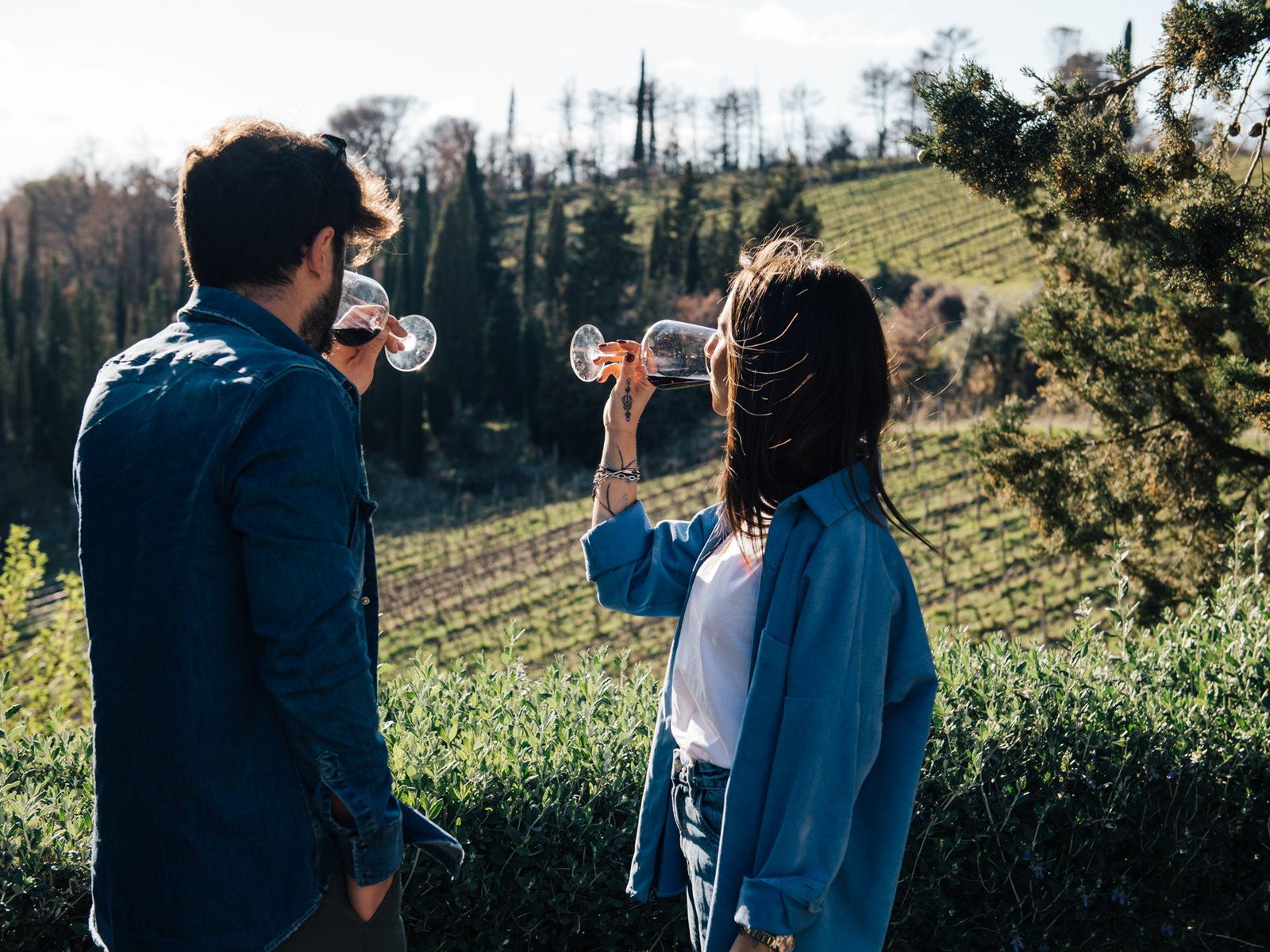 Chianti Hills Half-Day Tour with Wine Tasting