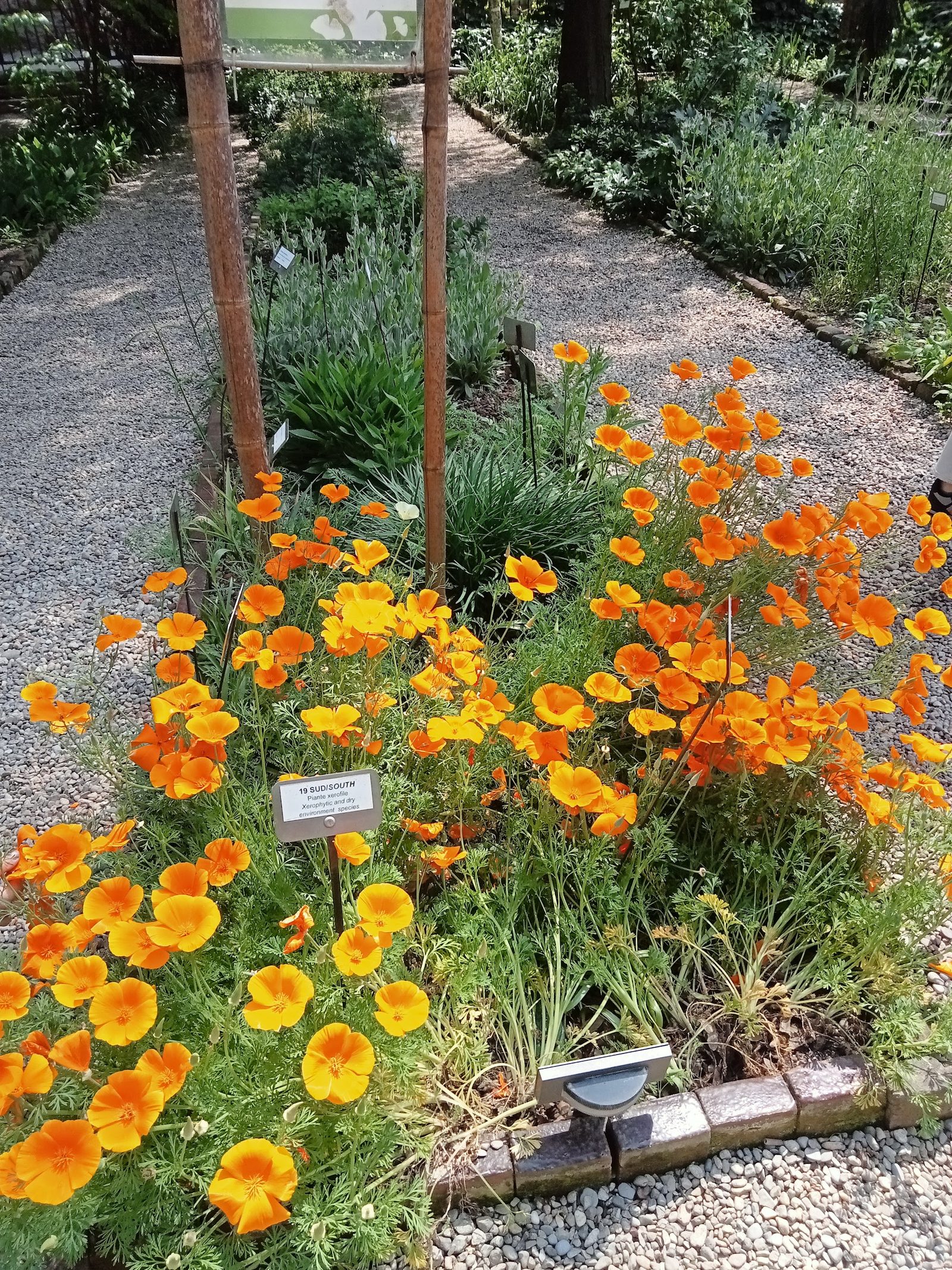 Brera Botanical Garden