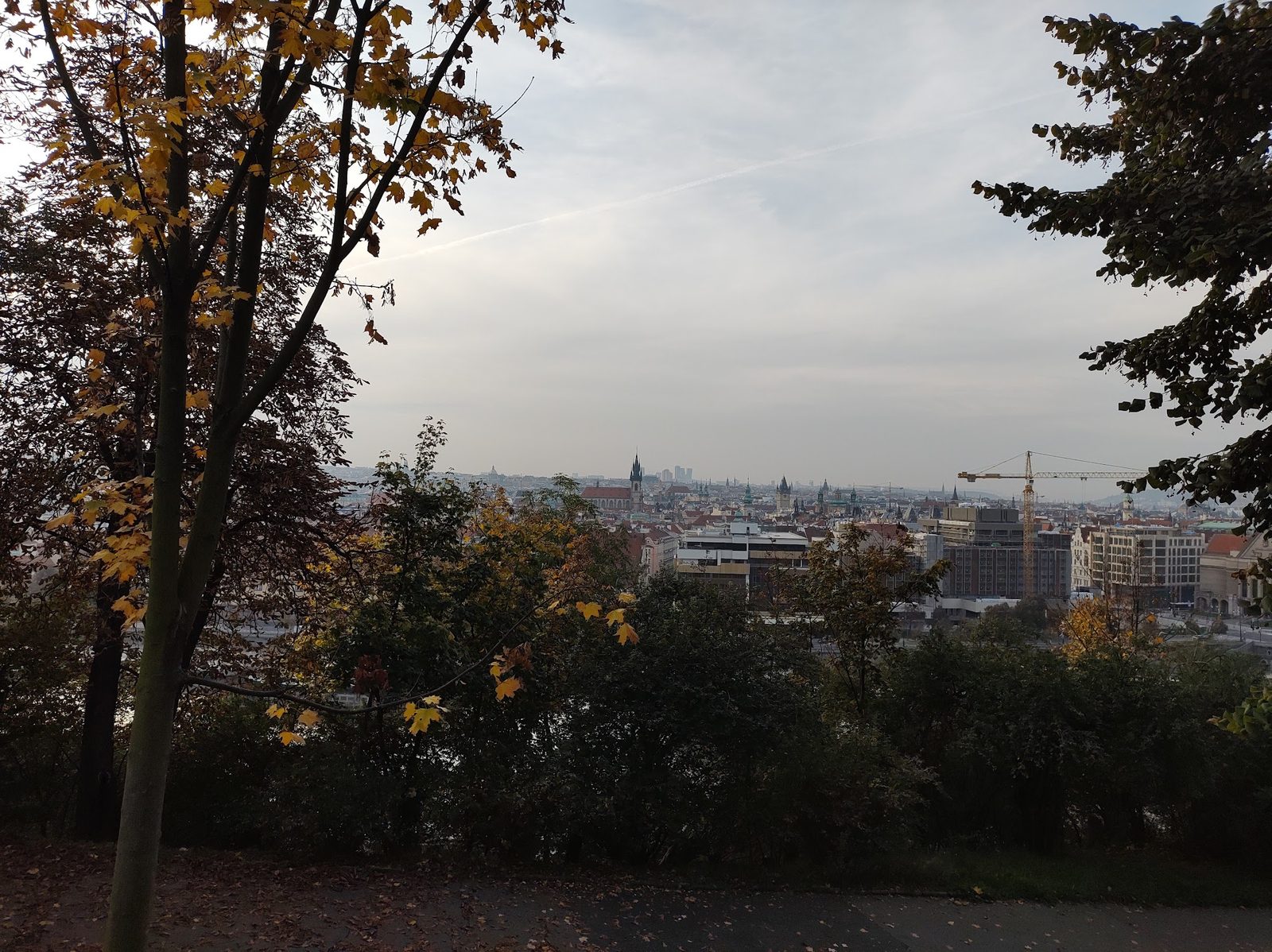 Letná