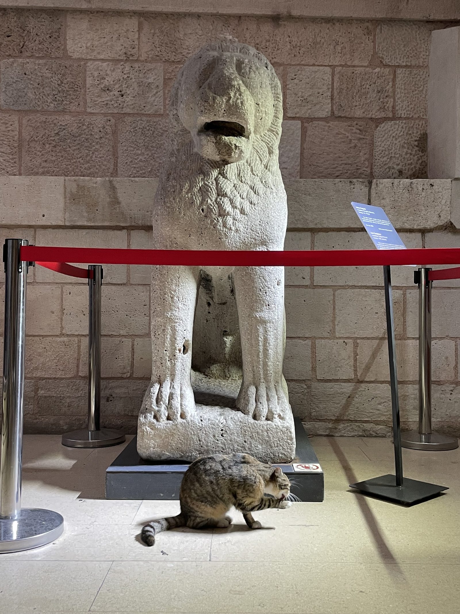 Turkish & Islamic Arts Museum