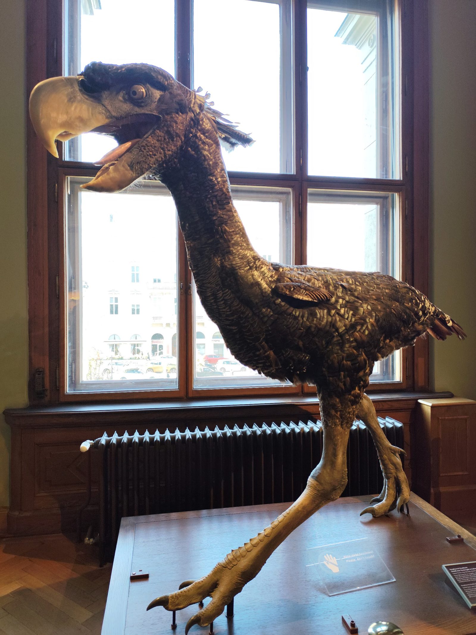 Natural History Museum Vienna