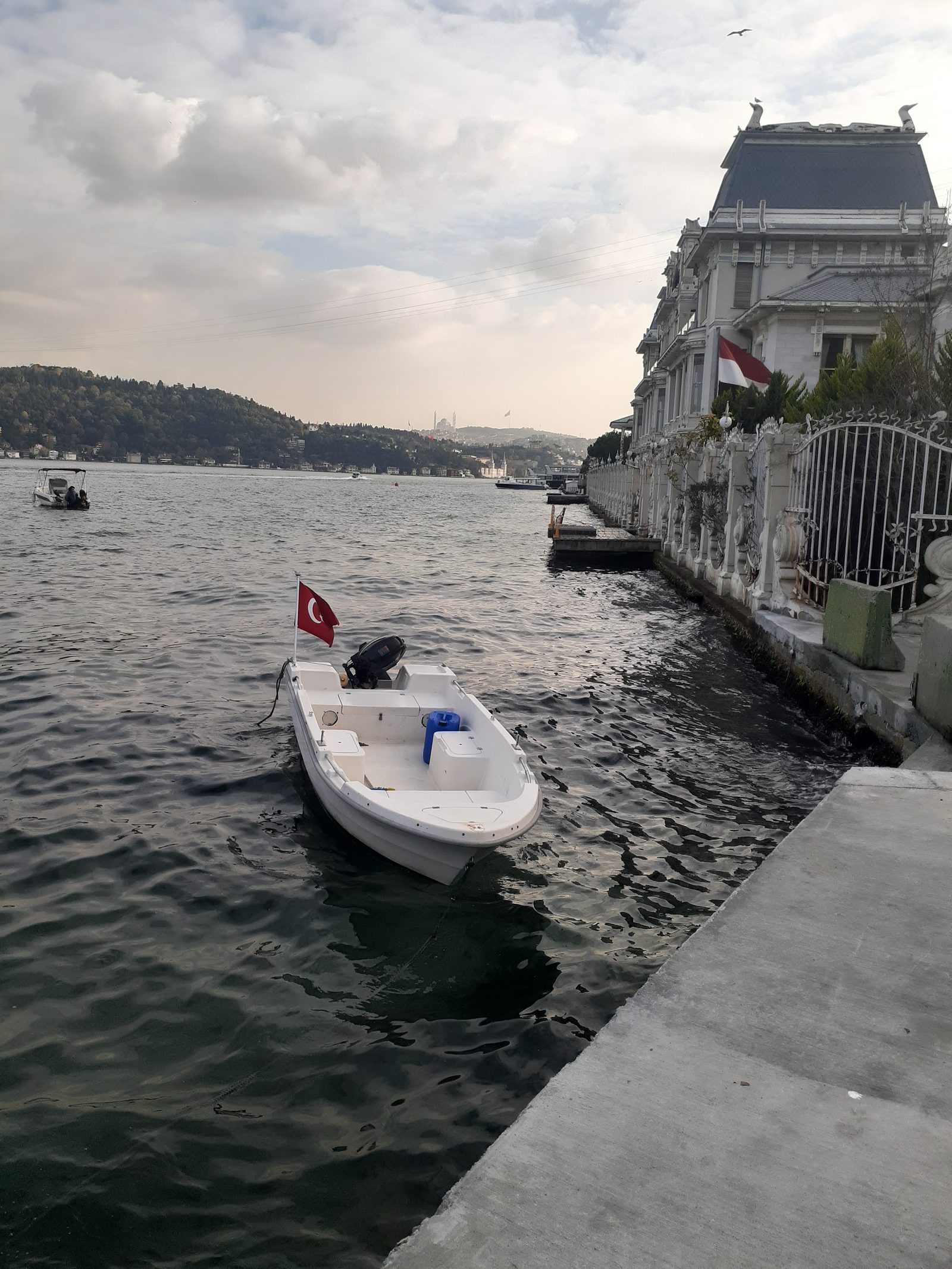 Bebek