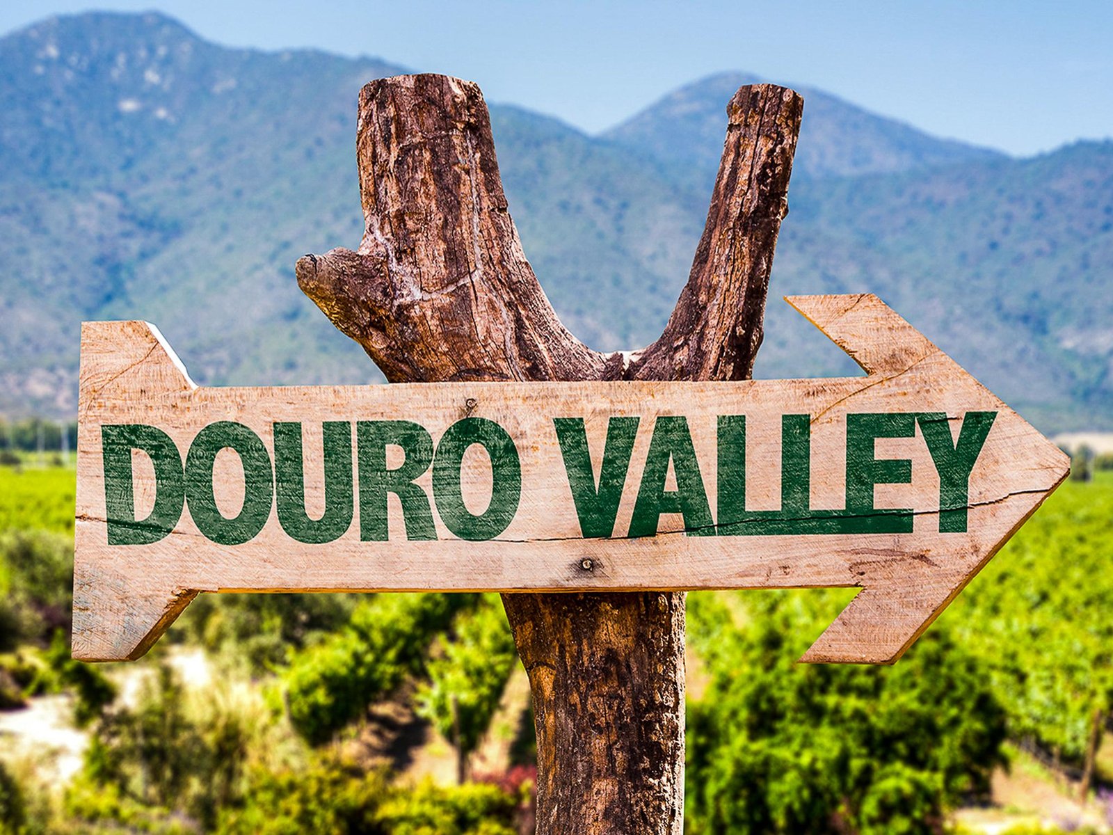 Douro Valley with Boat Tour, Wine Tasting & Lunch