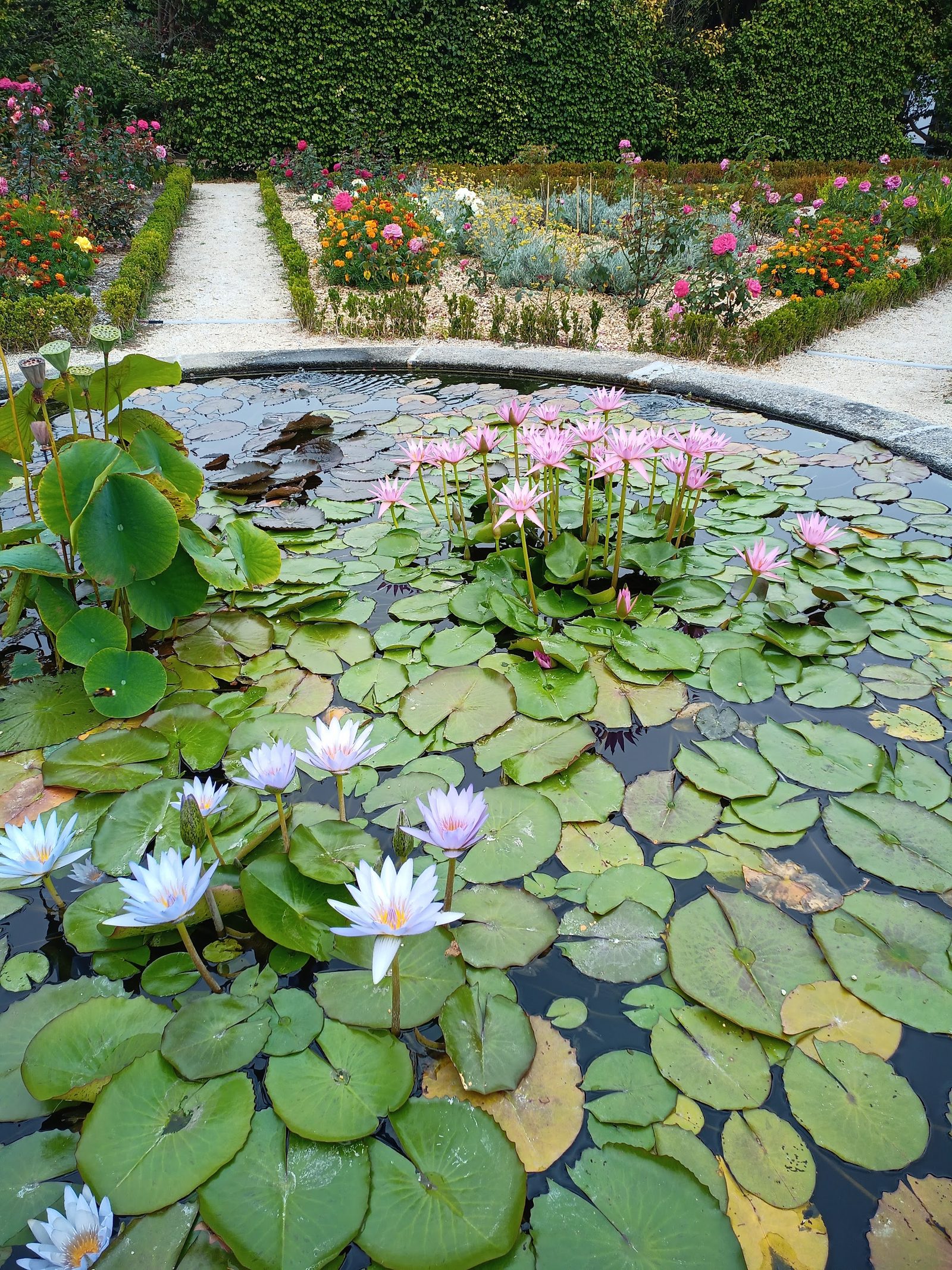 Jardim Botânico do Porto | Museu de História Natural e da Ciência da U.Porto