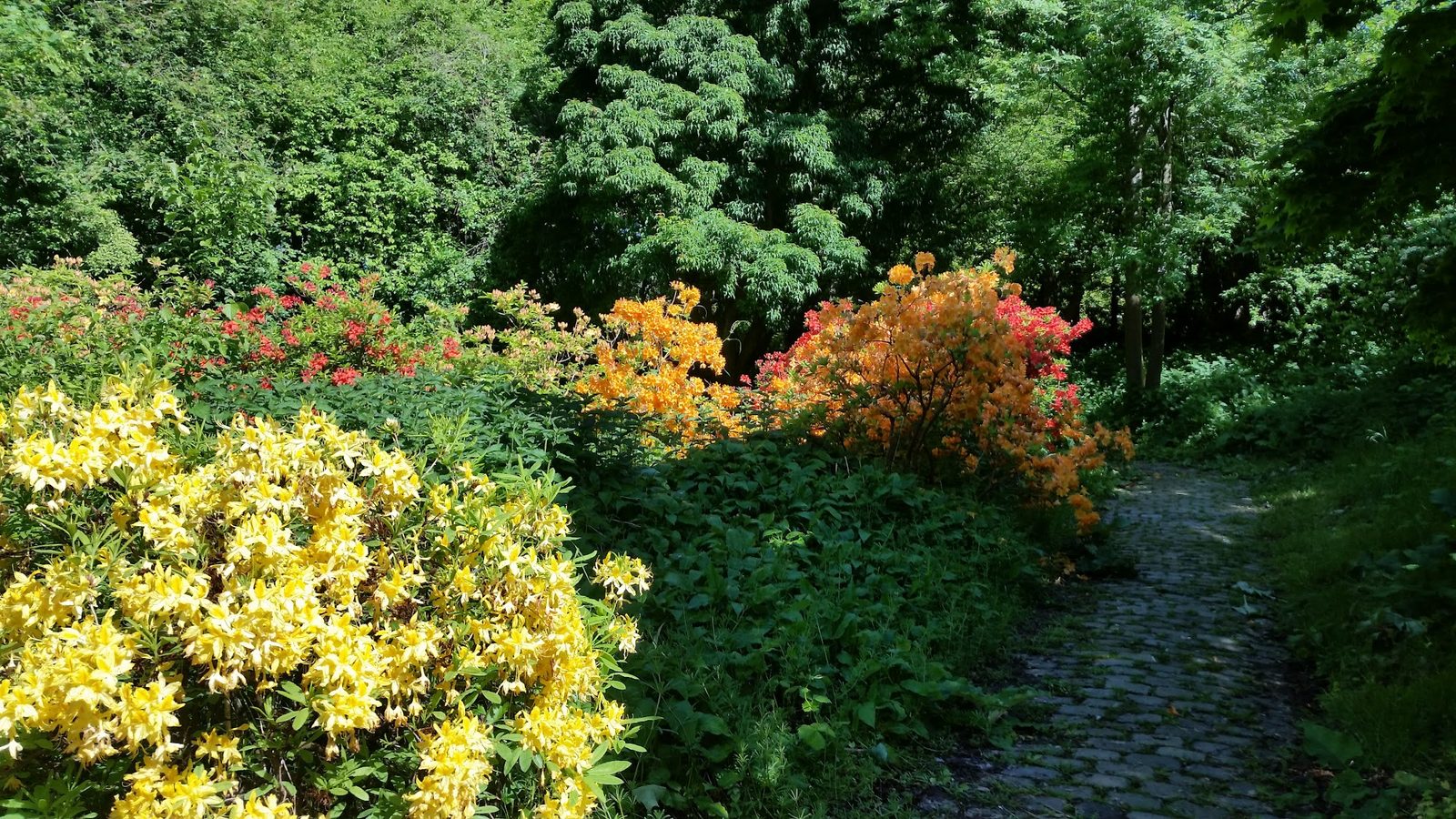 Gaasperpark