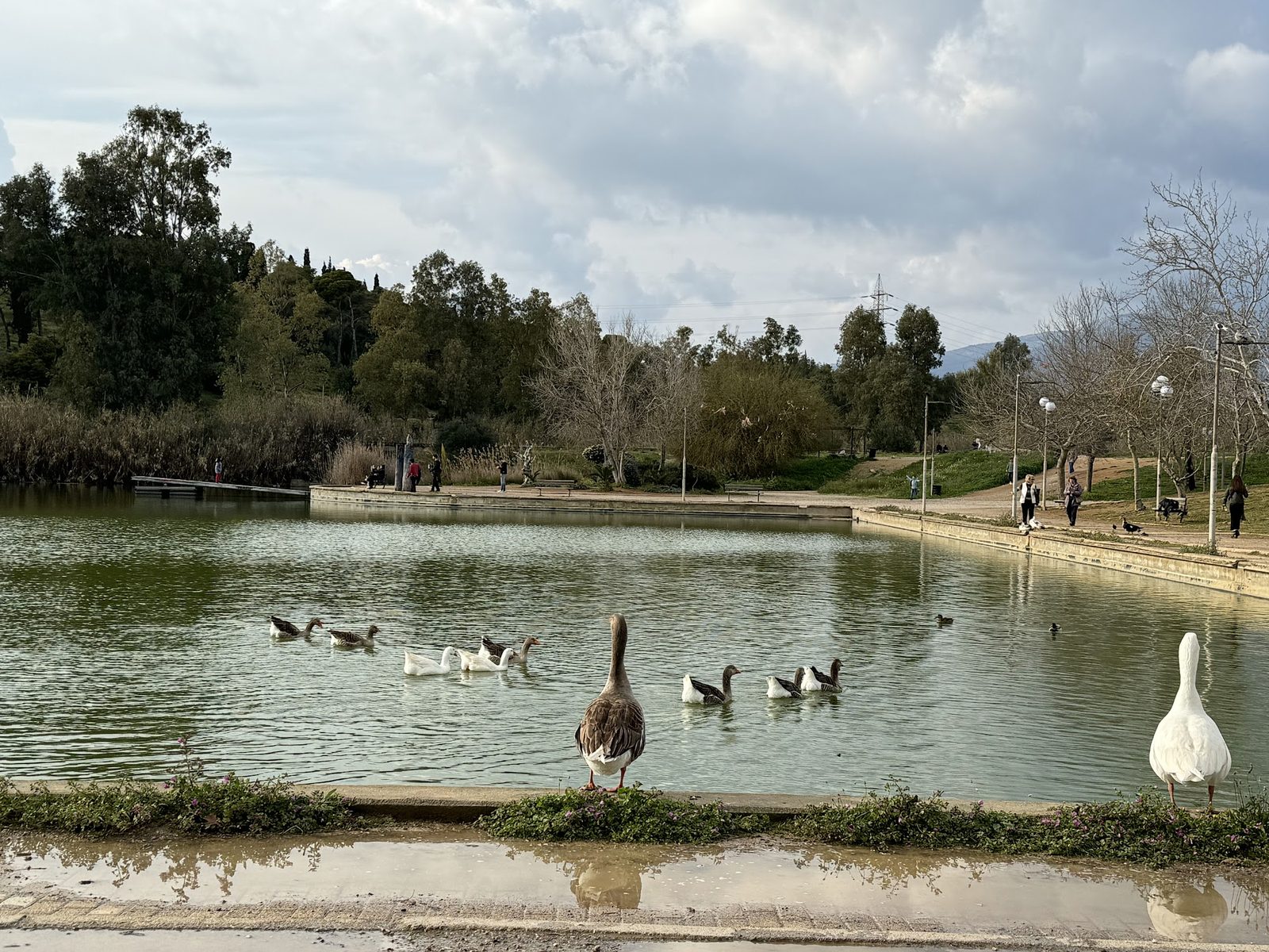 Antonis Tritsis Metropolitan Park