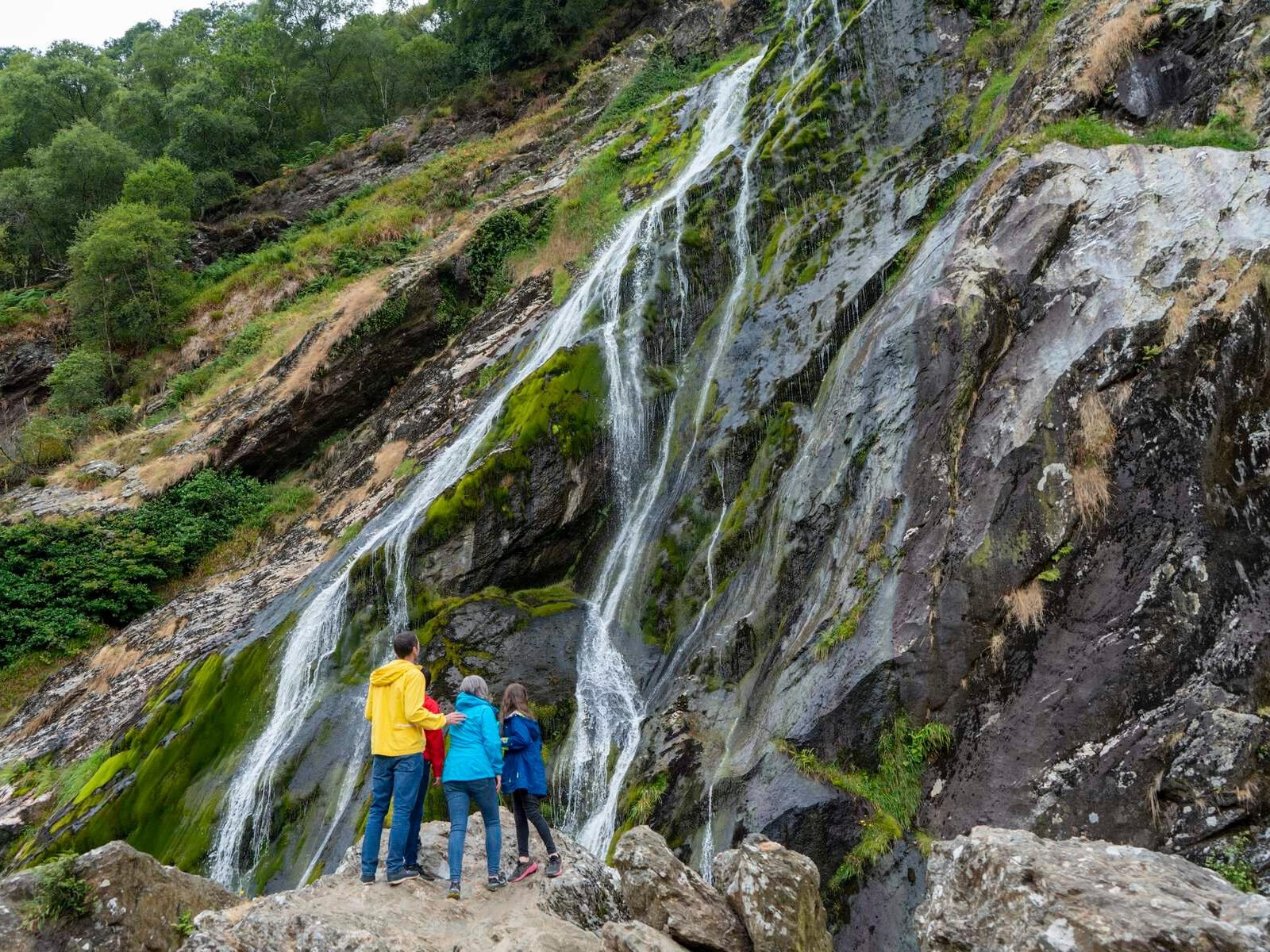 Wicklow, Glendalough, Waterfall & Sheepdog Show