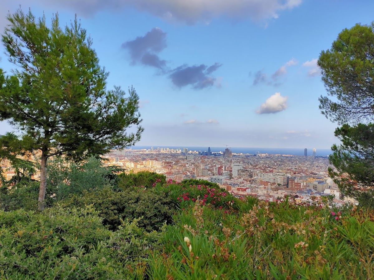 Parc del Turó del Putxet