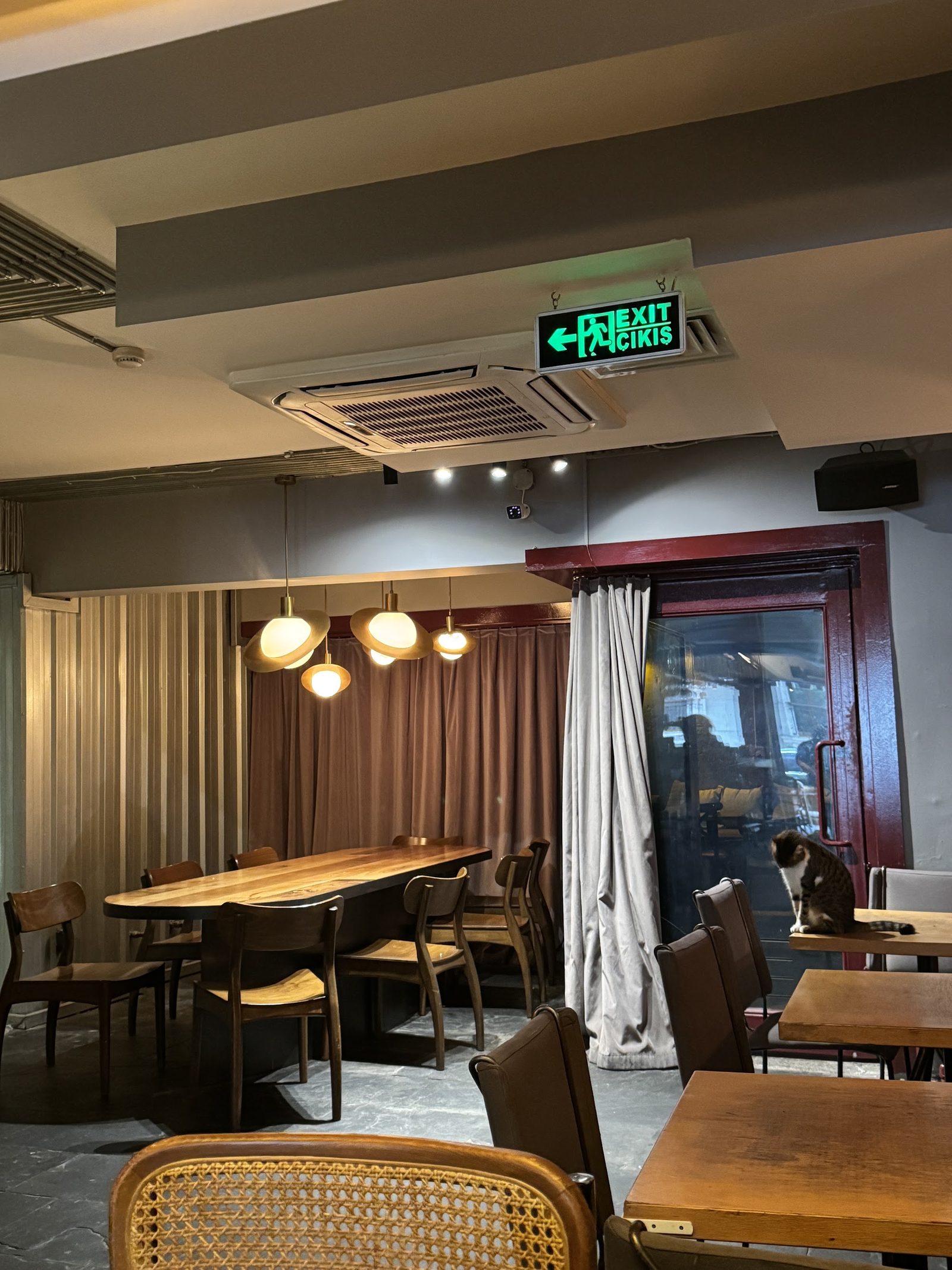 Kozmonot Pub Topağacı