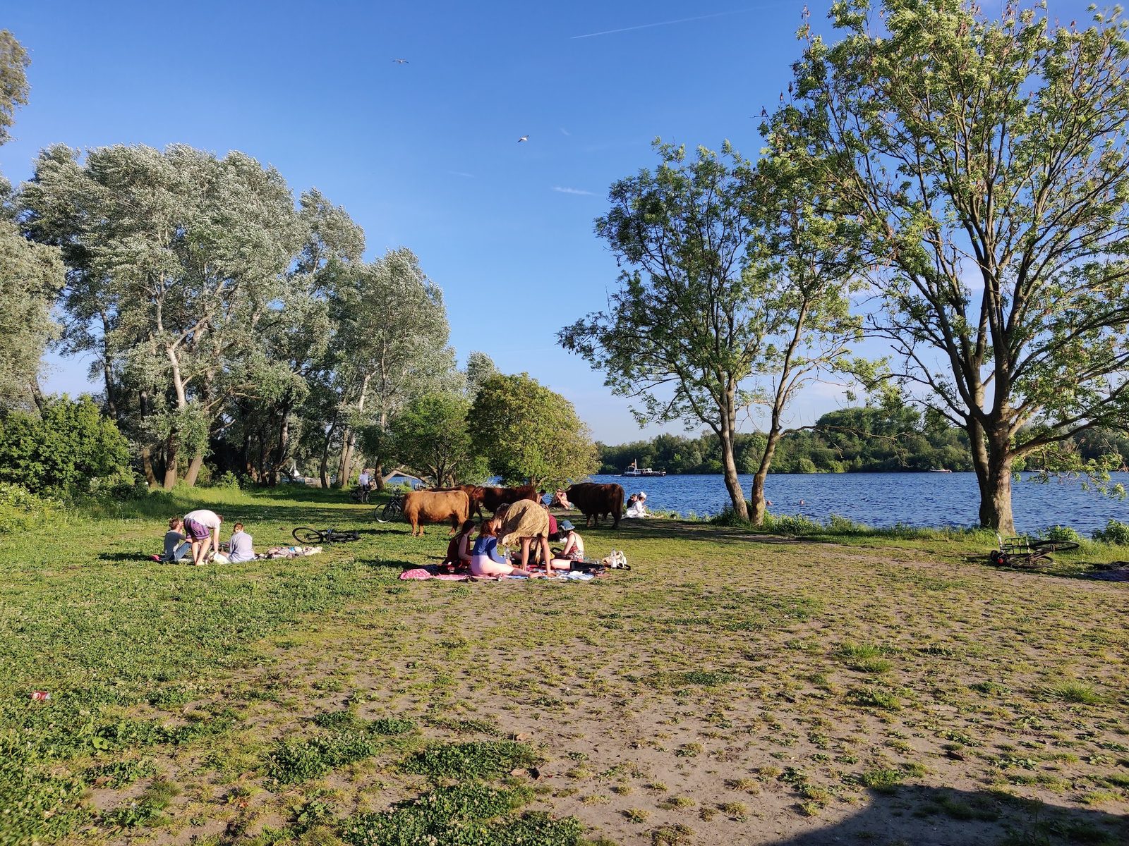 Park de Oeverlanden
