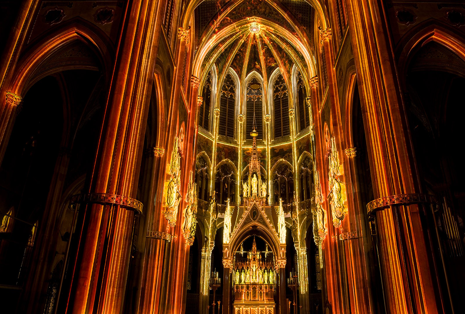 Light of Creation Votivkirche Immersive Light Show