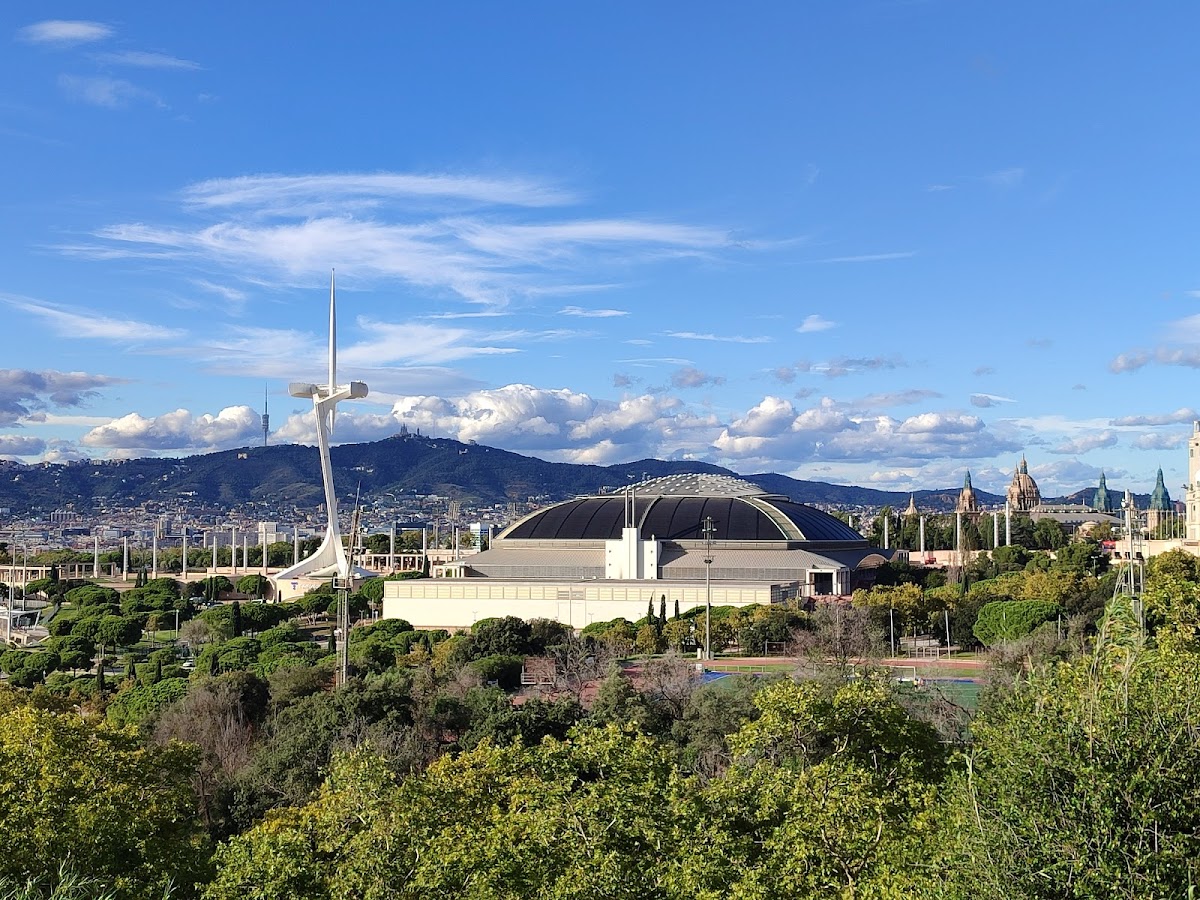 Palau Sant Jordi