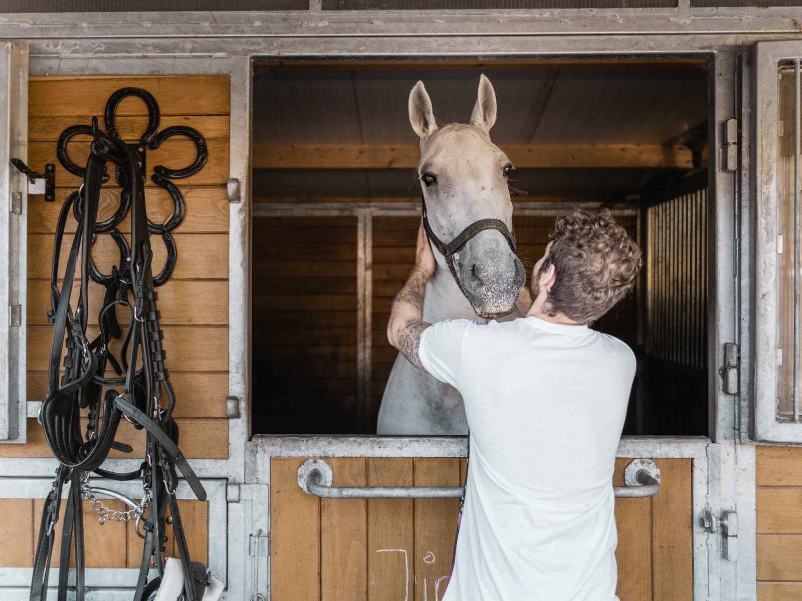 Secrets of the Fiaker & Horse-Drawn Carriage Ride