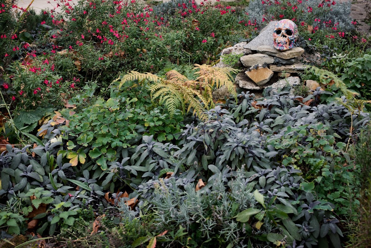 Crossbones Graveyard & Garden of Remembrance