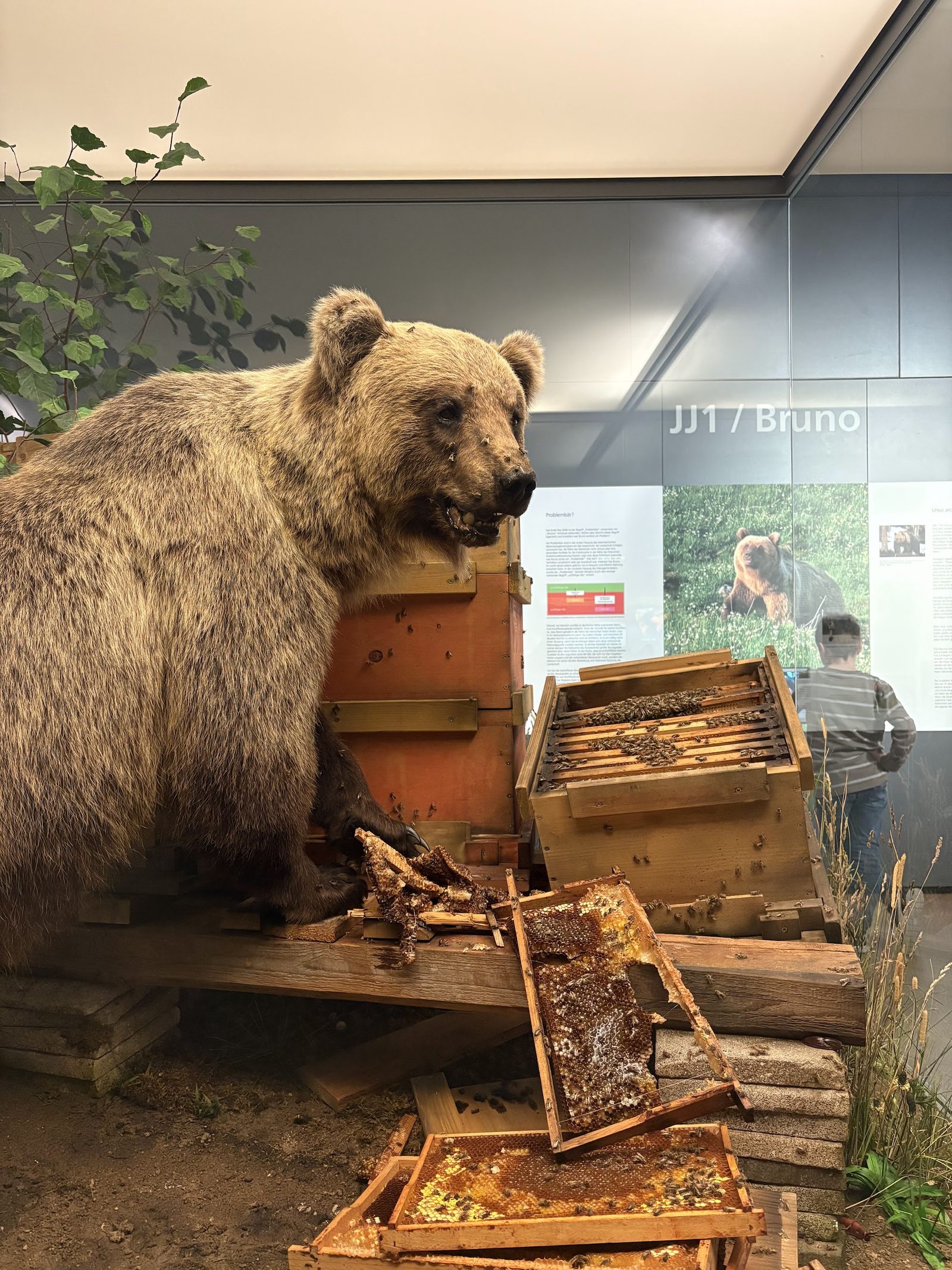 Museum of Man and Nature