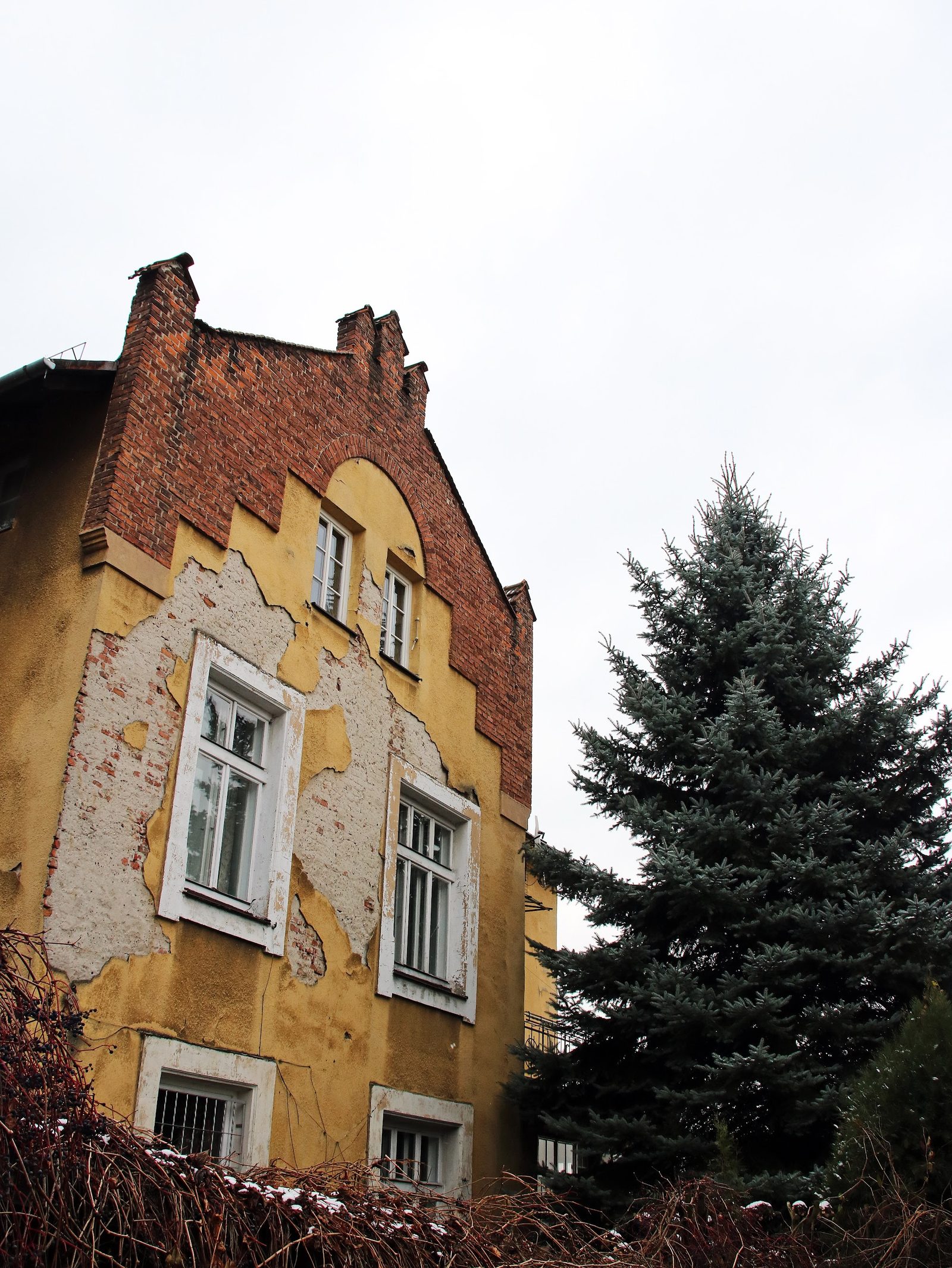 Zwierzyniec