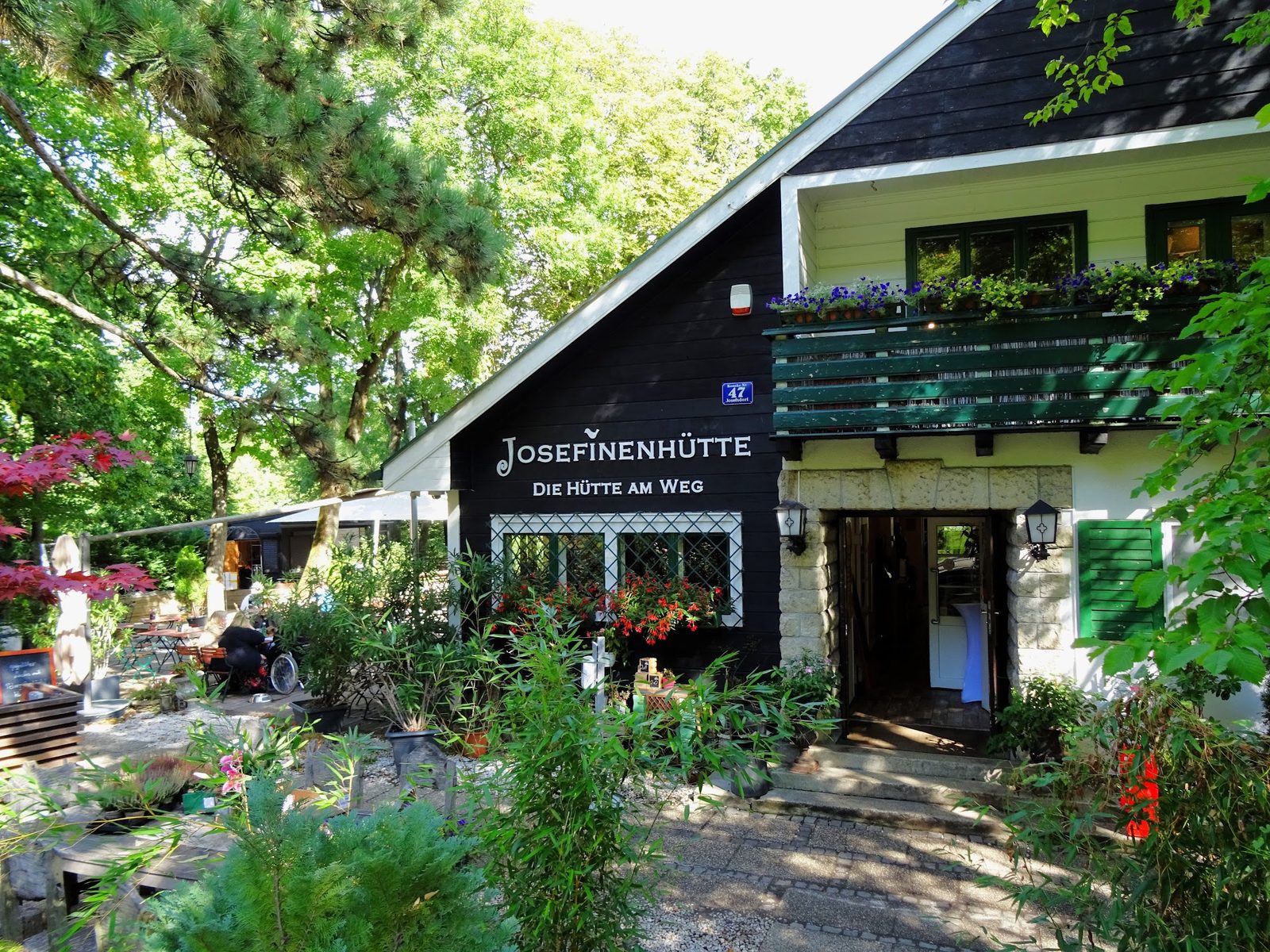 Waldseilpark Kahlenberg