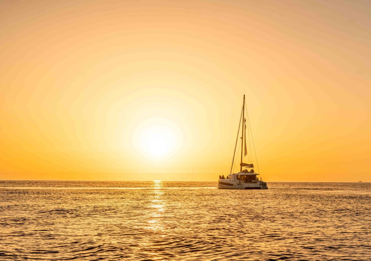 Daytime or Sunset Douro River Cruise With Port Wine
