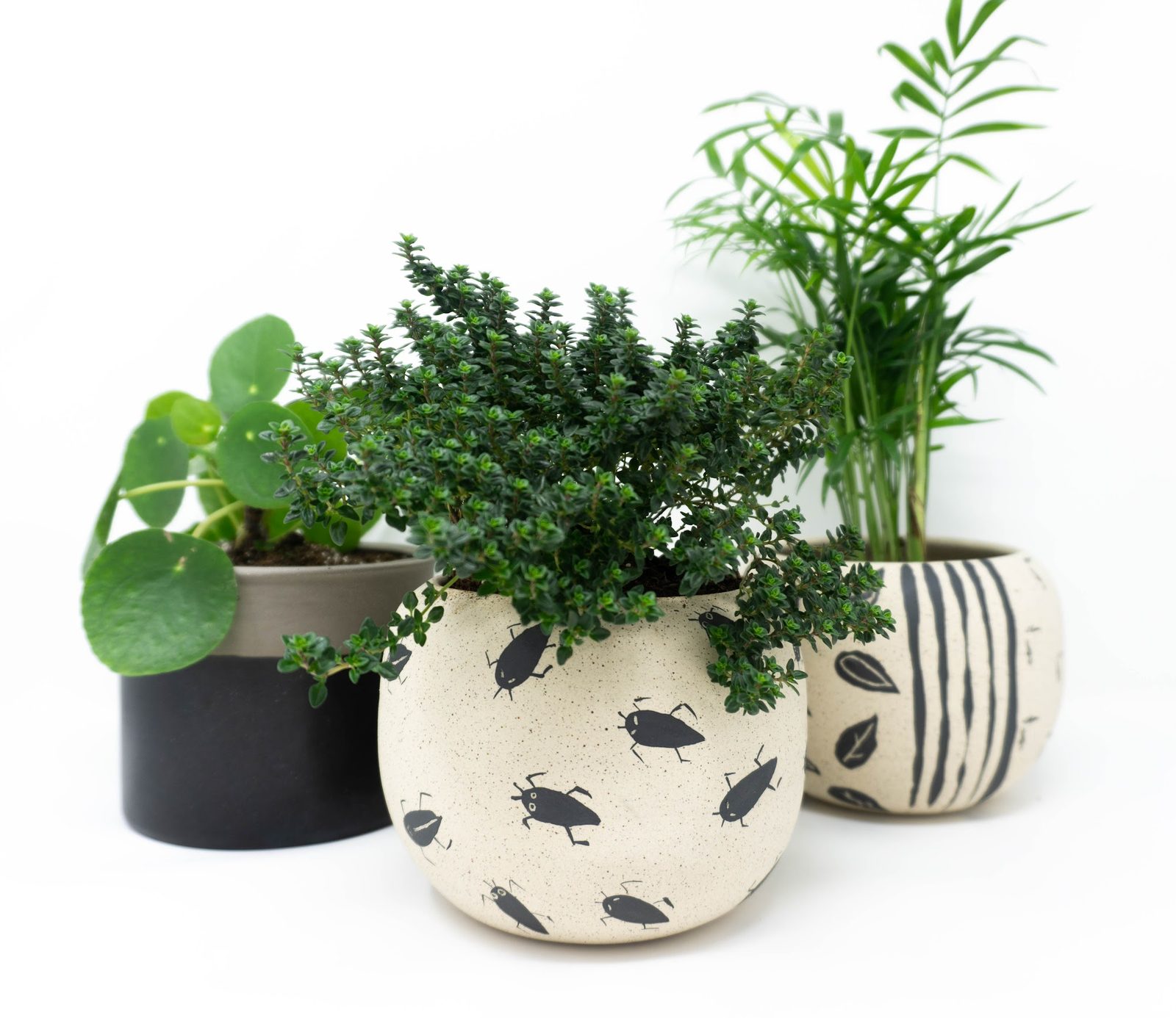 Trabala Studio - Ceramic Workshop