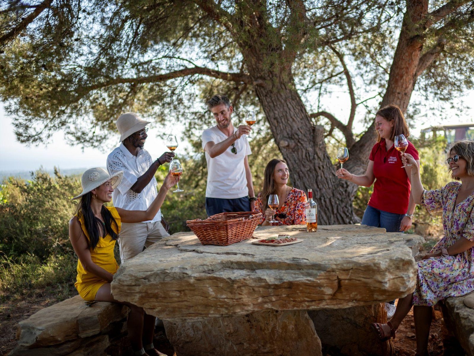 Provence Wine Full-Day Tour