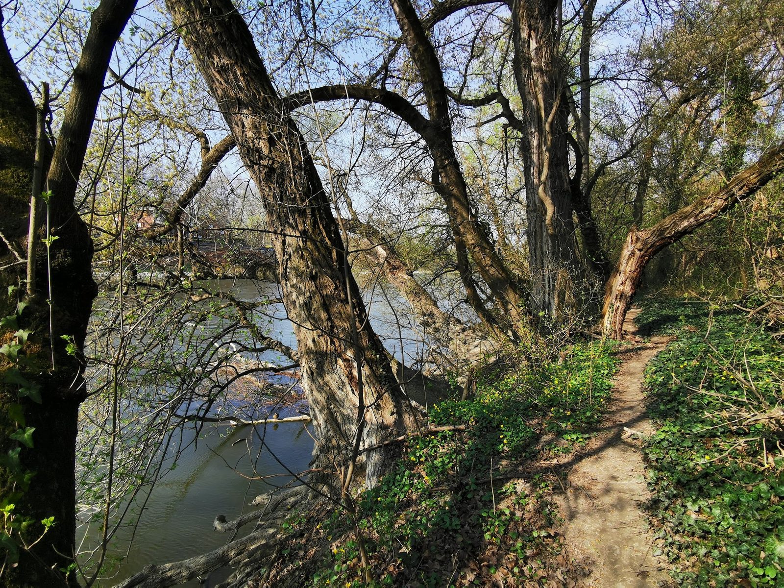 Óbuda Island