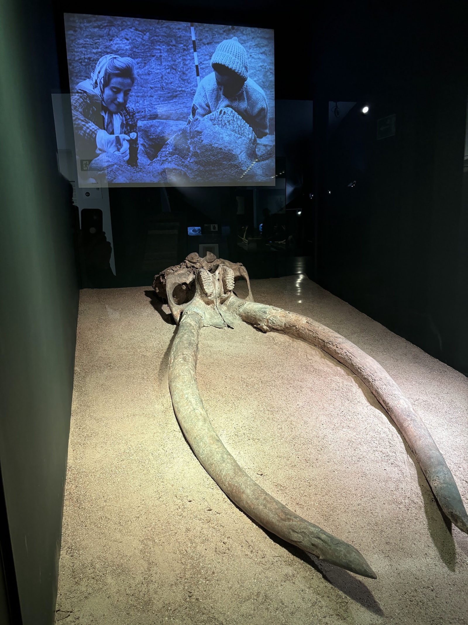 Museo de San Isidro. Los Orígenes de Madrid