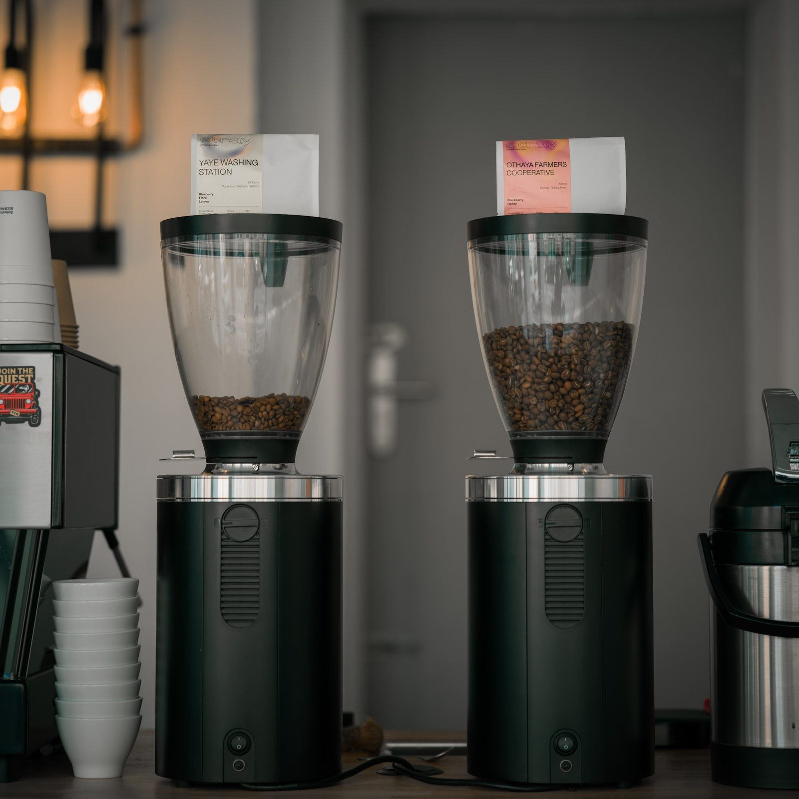 stray coffee roasters