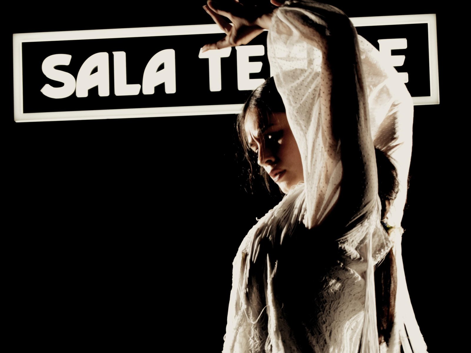 Flamenco Show at Tablao Sala Temple with Drink