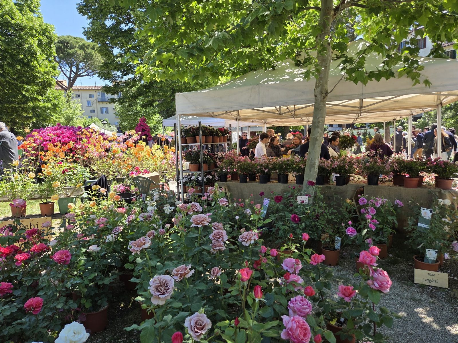 Giardino dell'Orticoltura