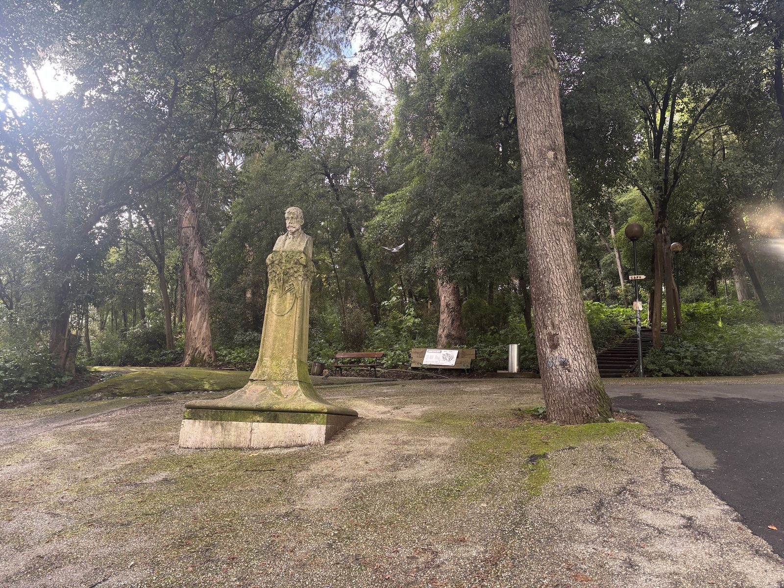 Parque Silva Porto